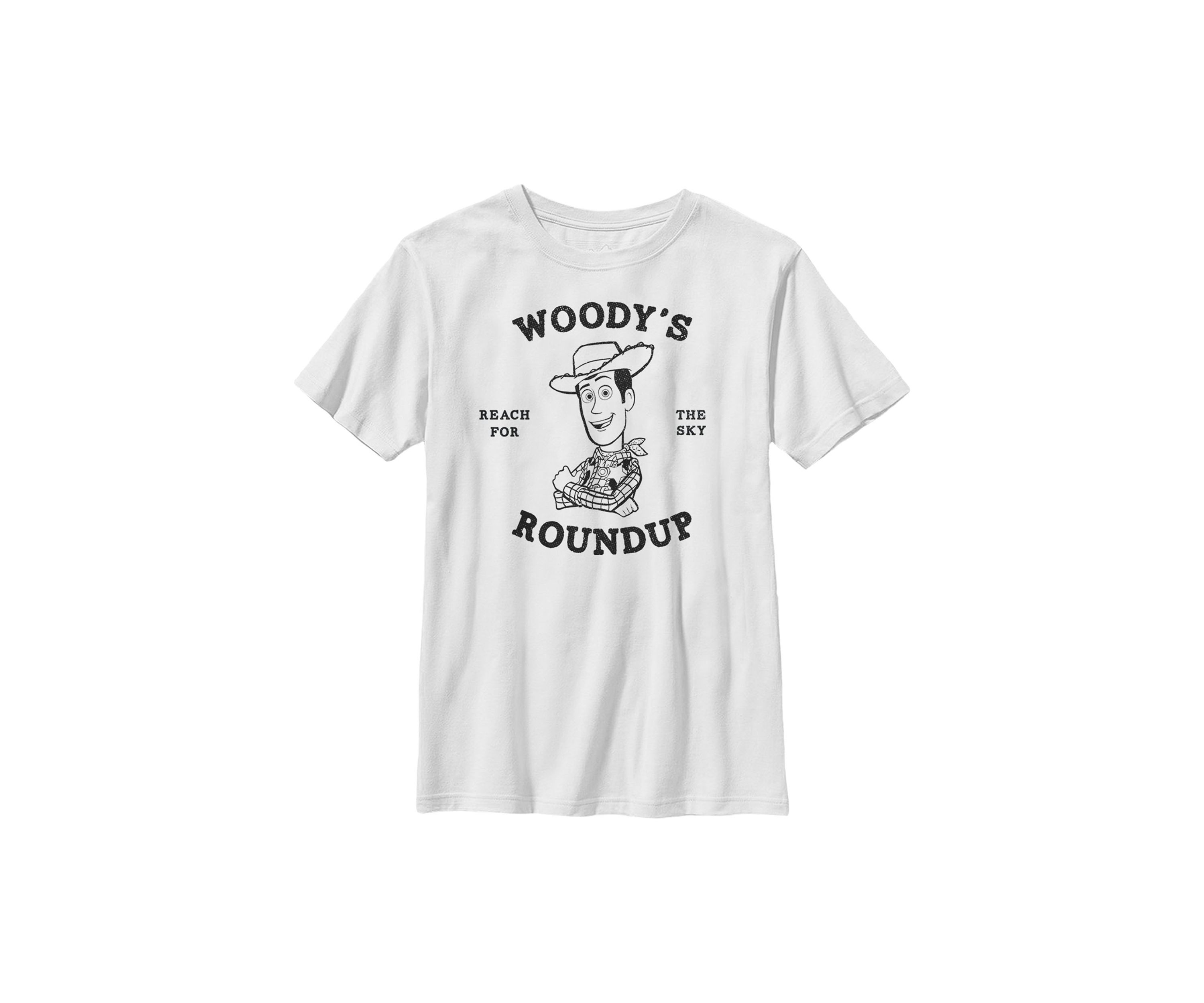 Boys 4-7 Woodys Roundup Graphic T-Shirt