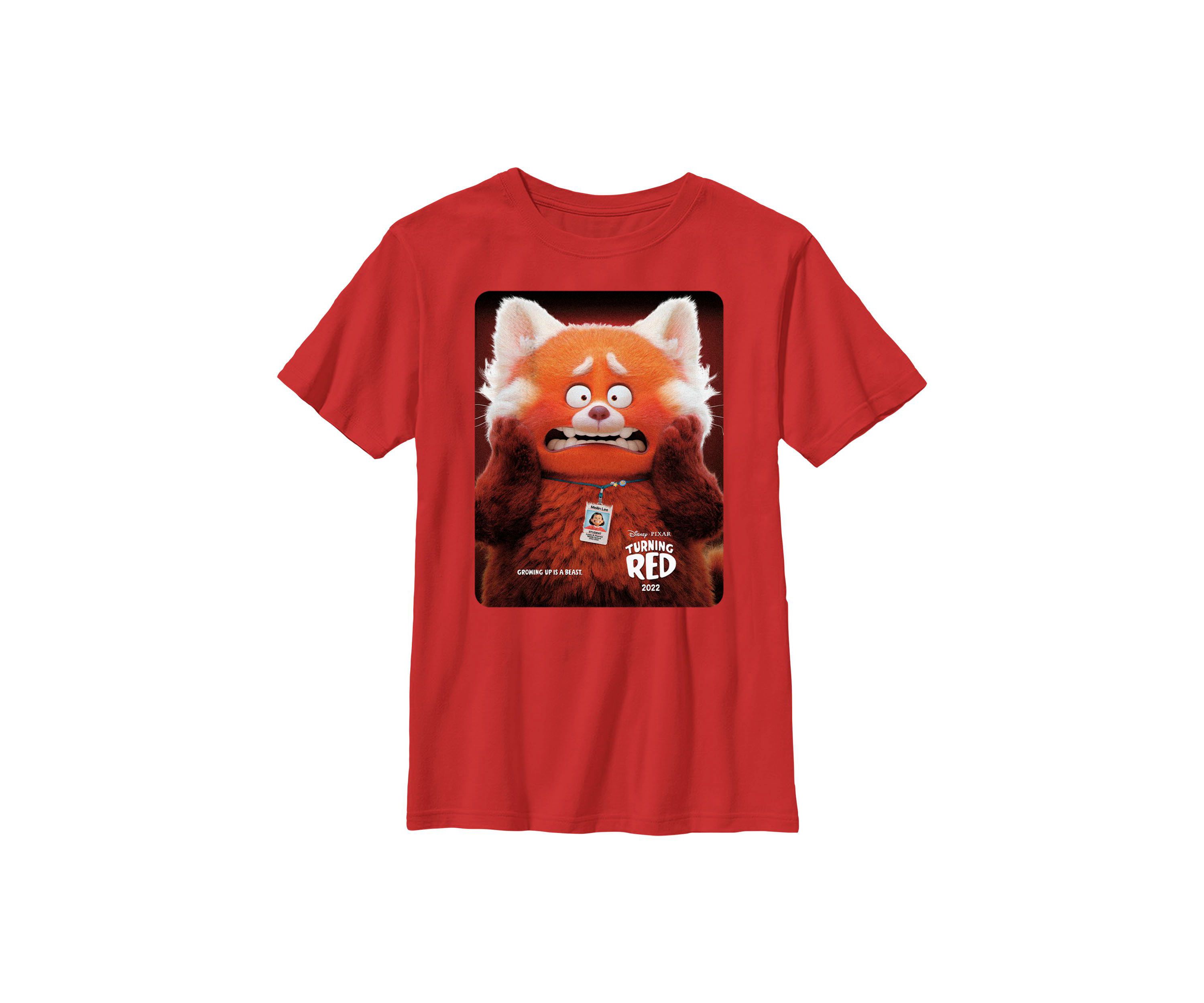 Panda Poster Graphic T-Shirt