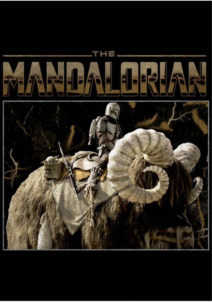 Boys 4-7 Star Wars The Mandalorian Bantha Ride Graphic T-Shirt
