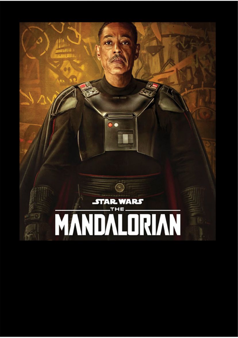 Boys 4-7  Gideon Poster Graphic Top
