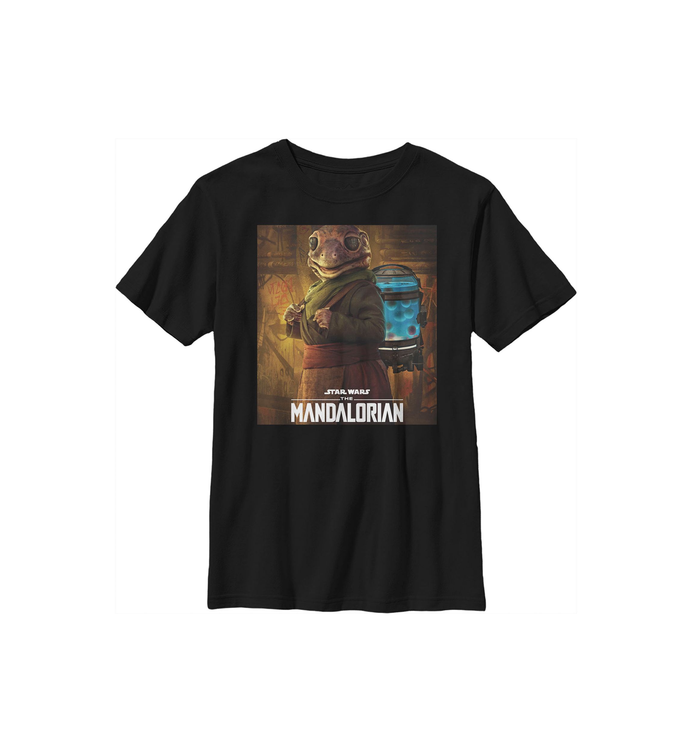 Boys 4-7  Frog Lady Poster Graphic Top