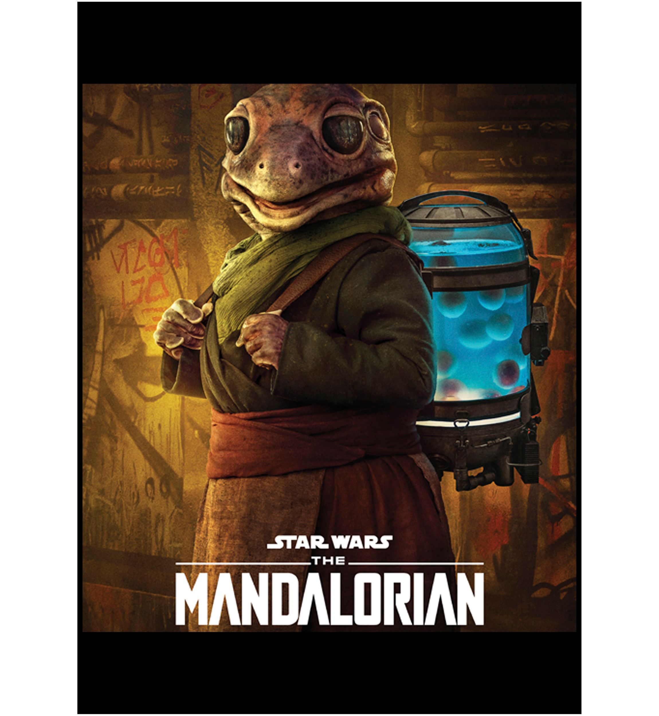 Boys 4-7  Frog Lady Poster Graphic Top