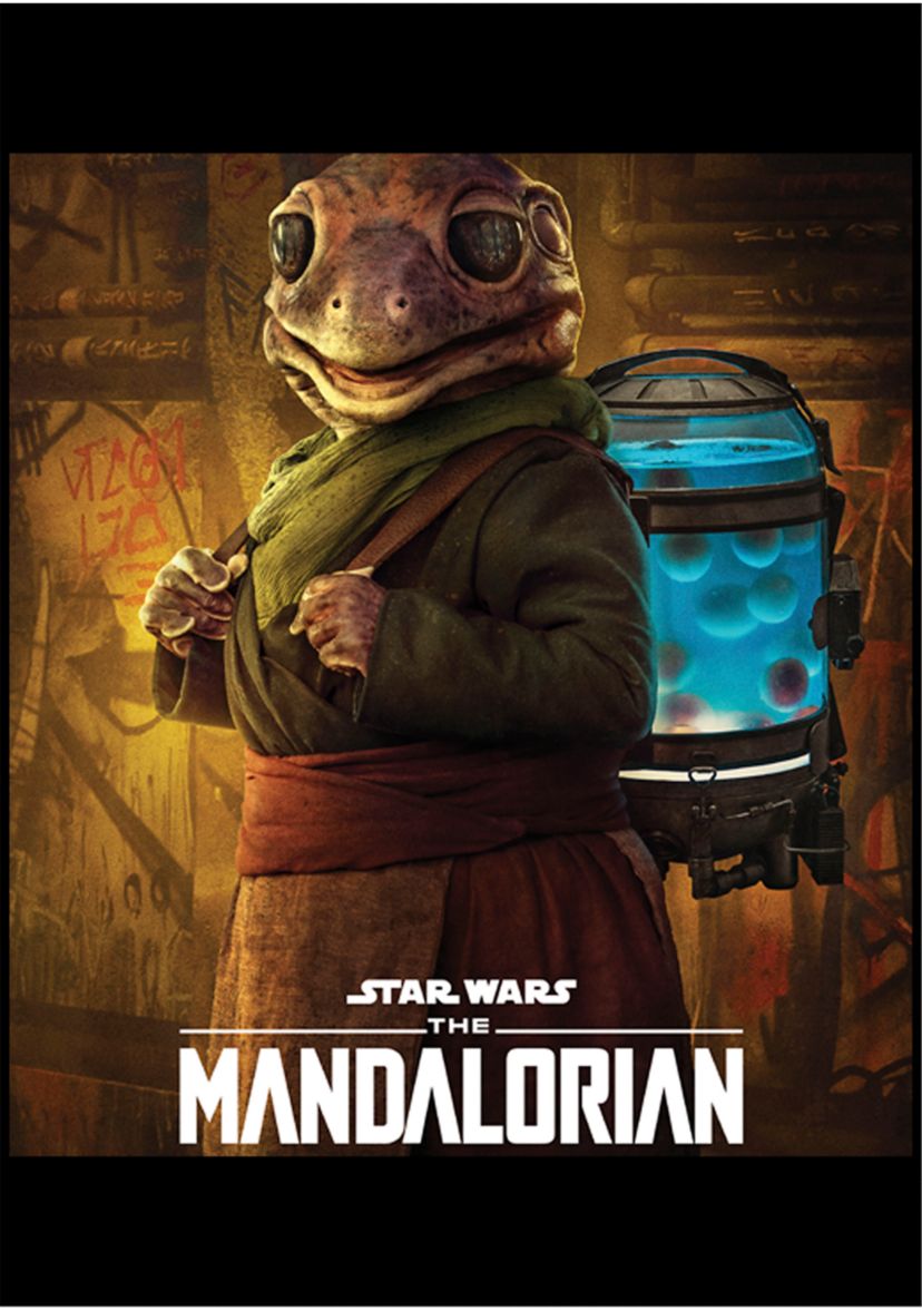 Boys 4-7  Frog Lady Poster Graphic Top