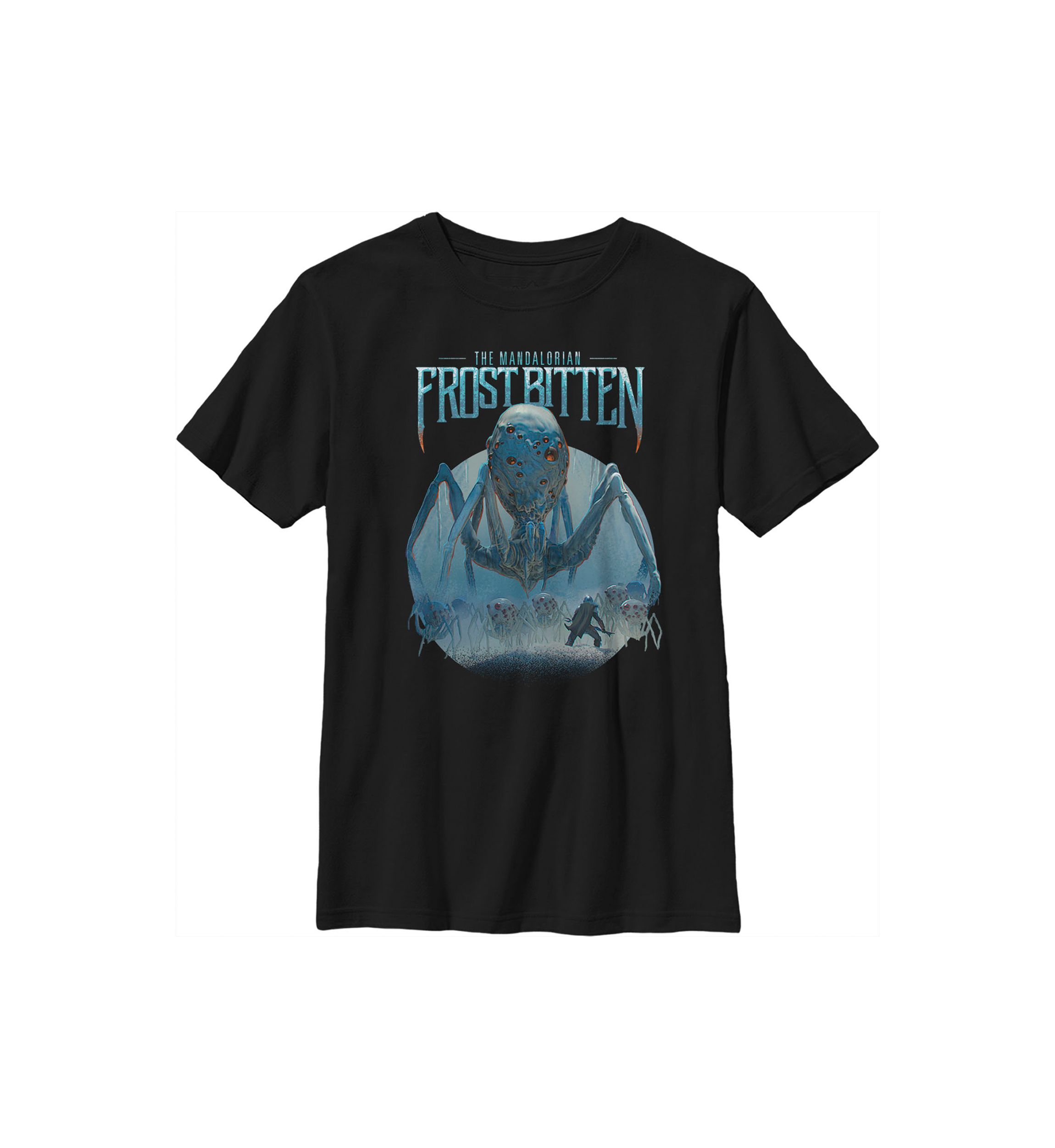 Boys 4-7  Spyderz Band Graphic Top