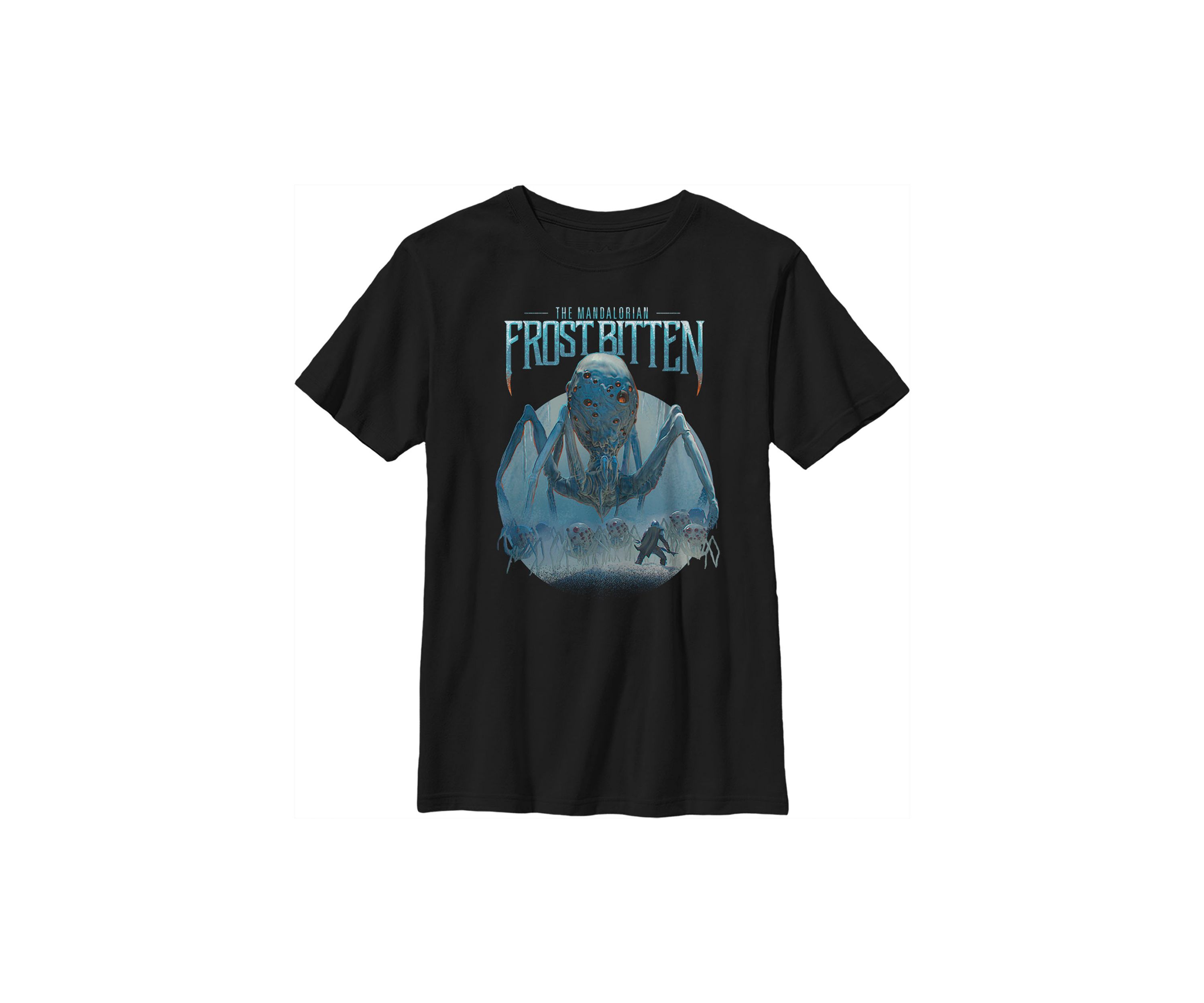 Boys 4-7  Spyderz Band Graphic Top