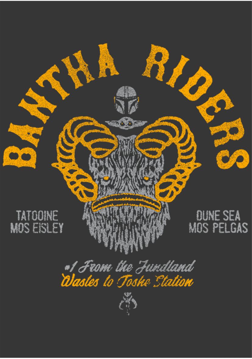 Boys 4-7  Bantha Riders Graphic Top