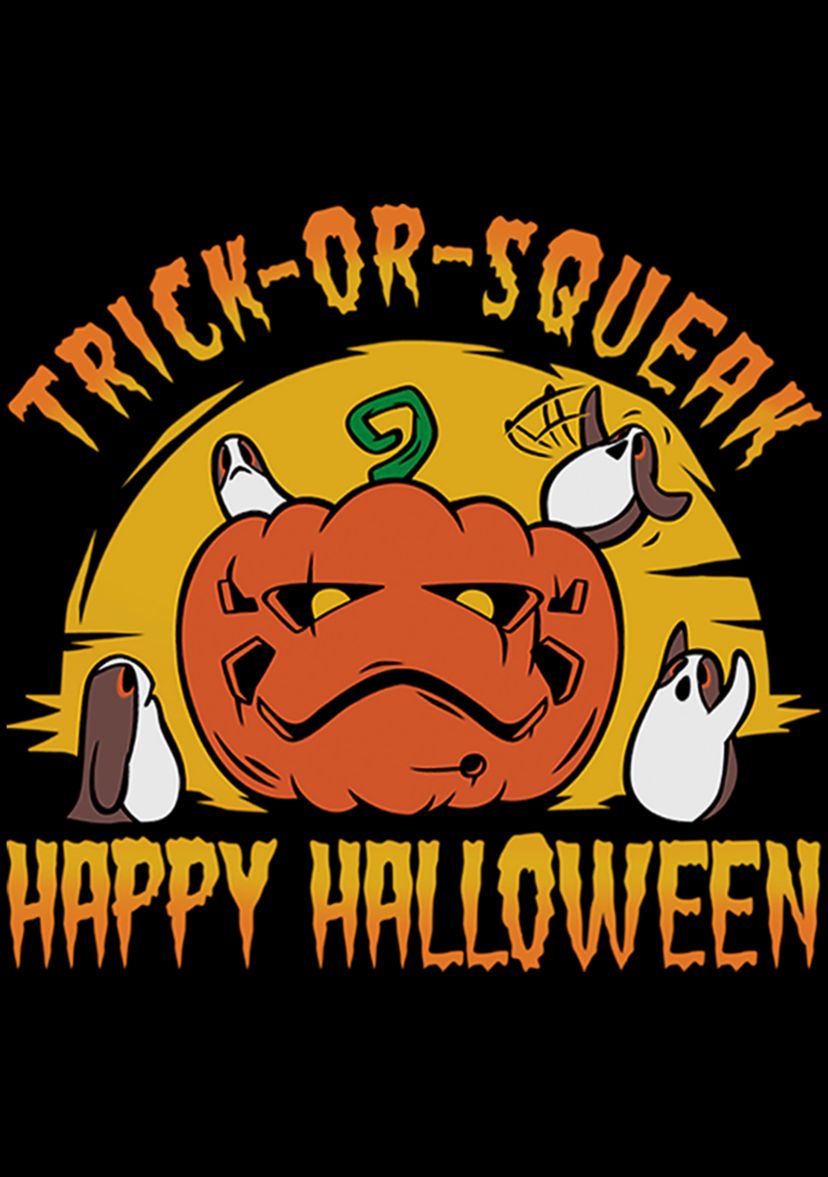 Boys 4-7 Trick Or Squeak T-Shirt