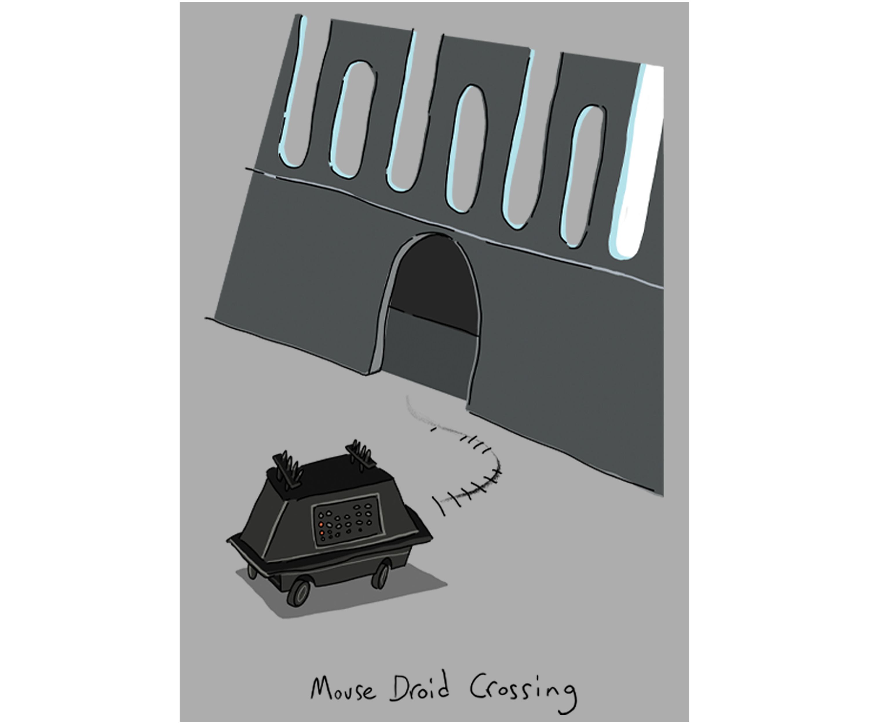 Boys 4-7  Mouse Droid Crossing Graphic Top