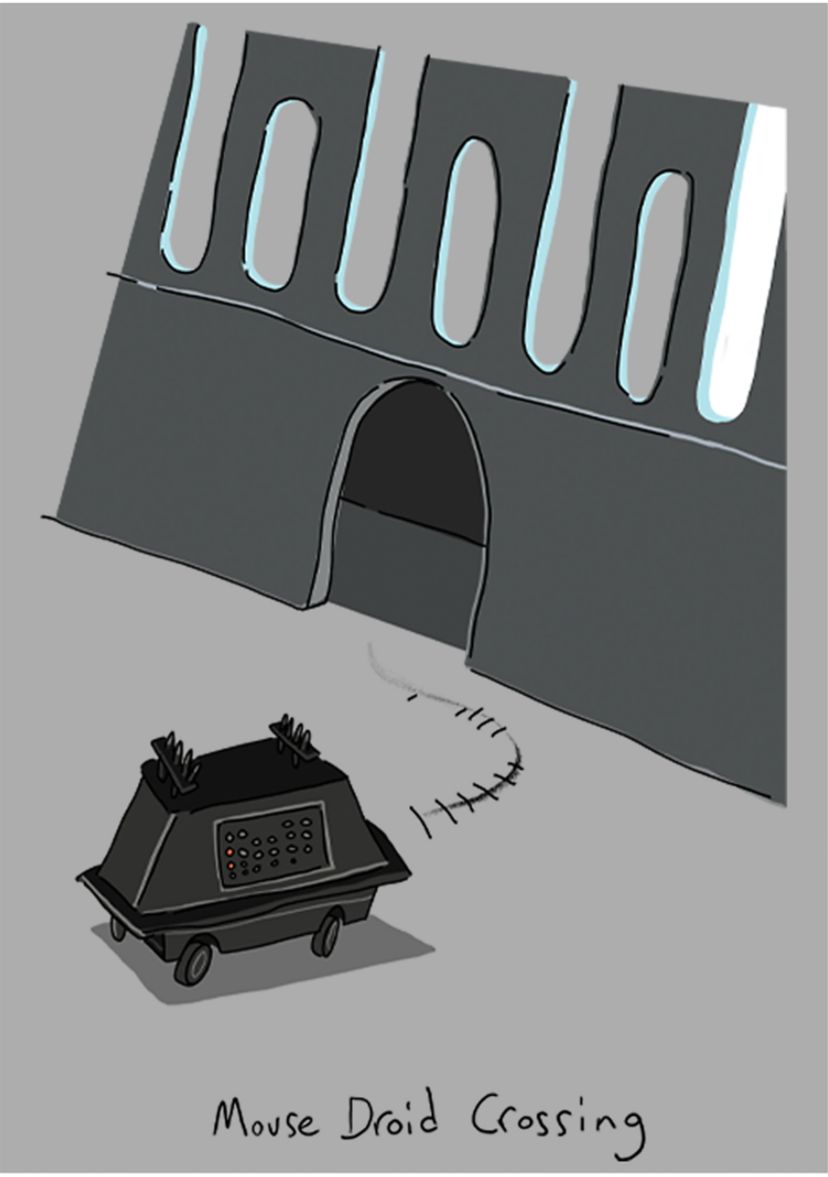 Boys 4-7  Mouse Droid Crossing Graphic Top
