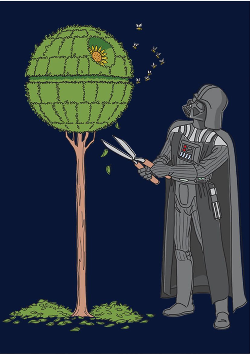 Boys 4-7  Death Star Bush Graphic Top