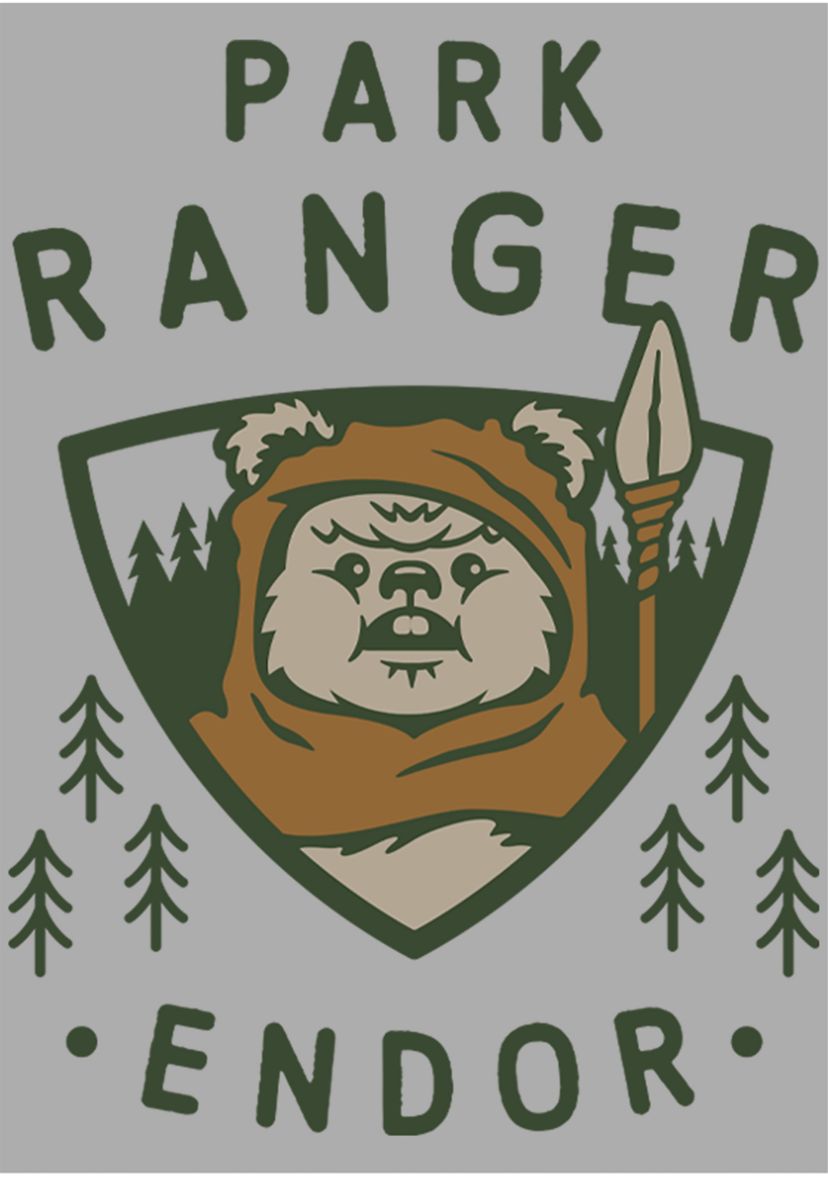 Boys 4-7  Park Ranger Graphic Top
