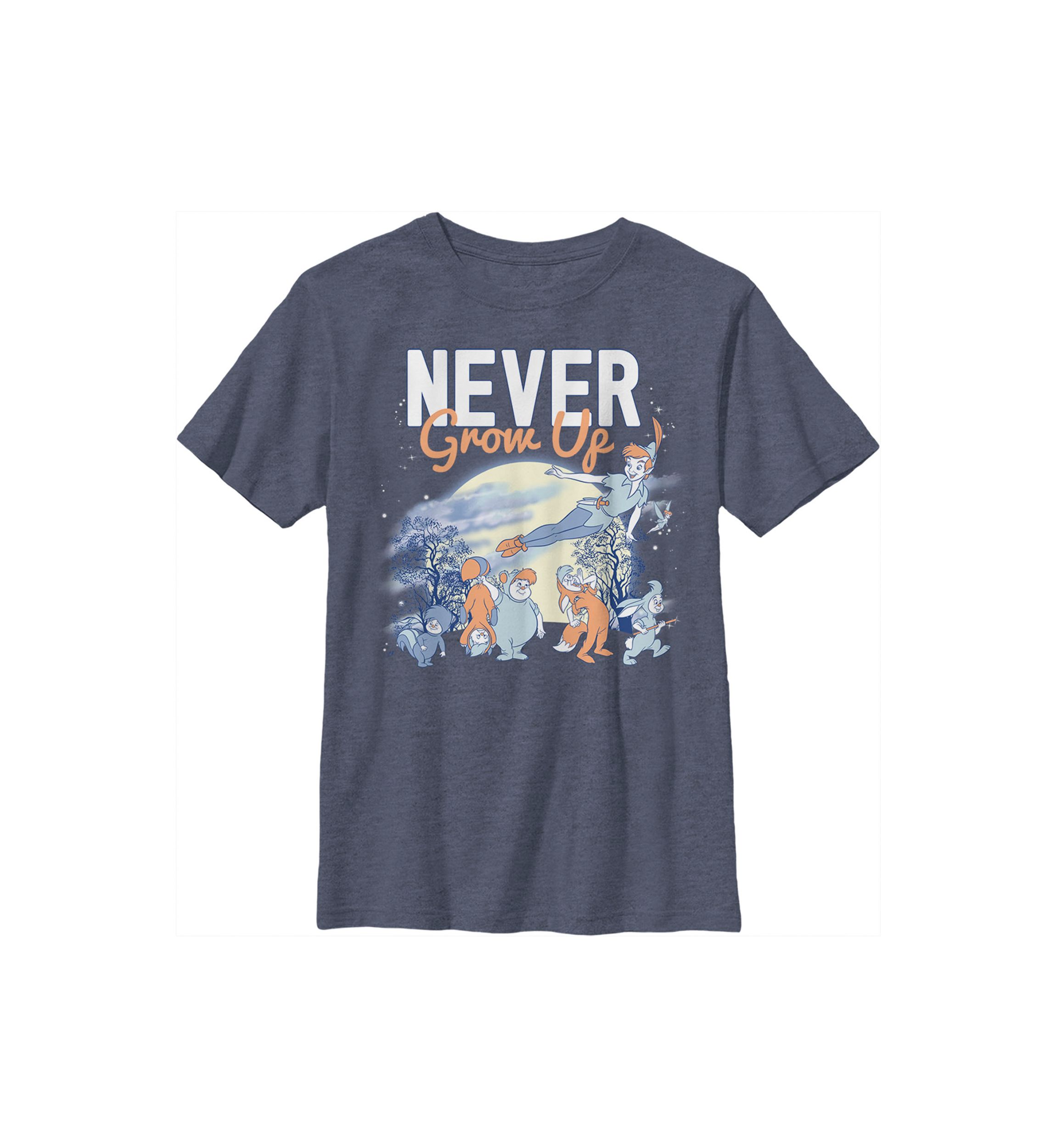 Boys 4-7 Tinkerbell Never Grow Up Graphic T-Shirt