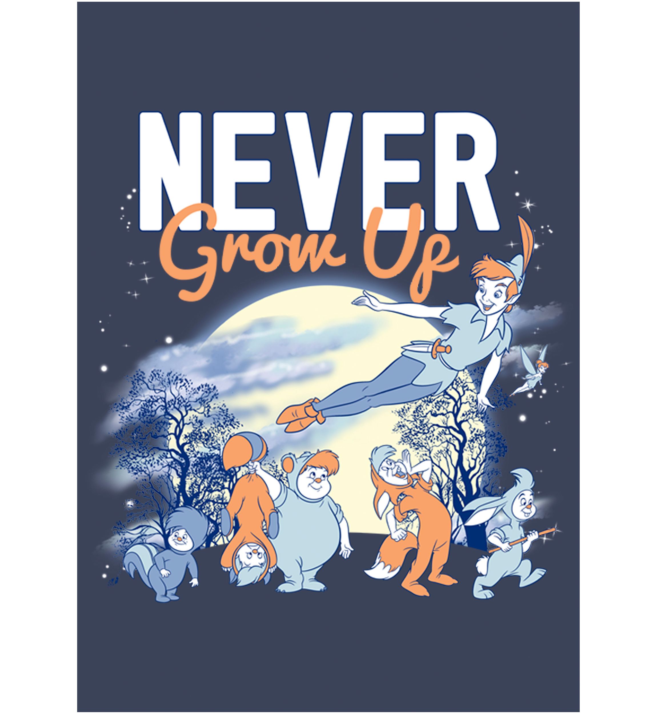 Boys 4-7 Tinkerbell Never Grow Up Graphic T-Shirt