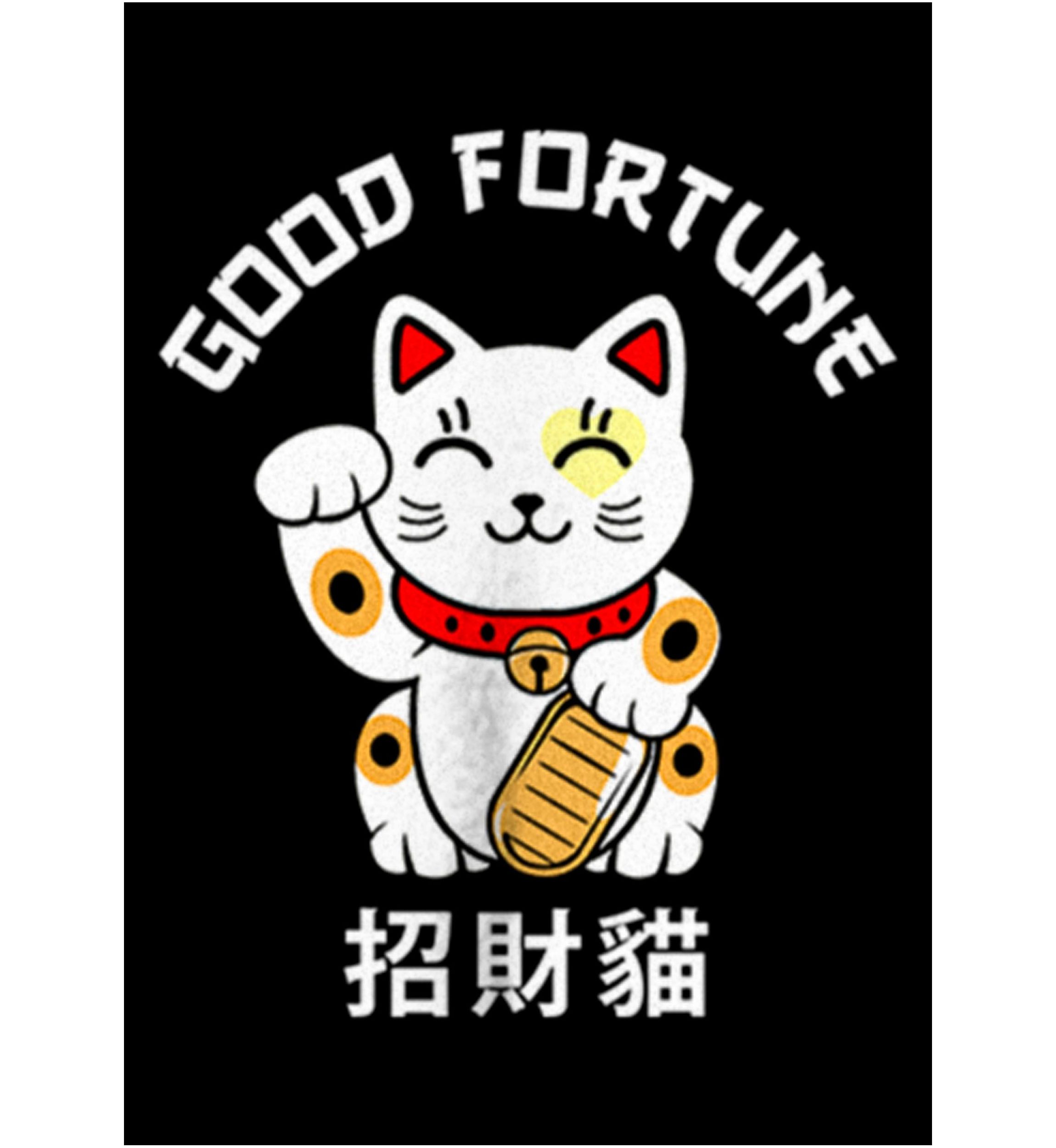 Good Fortune Graphic Top