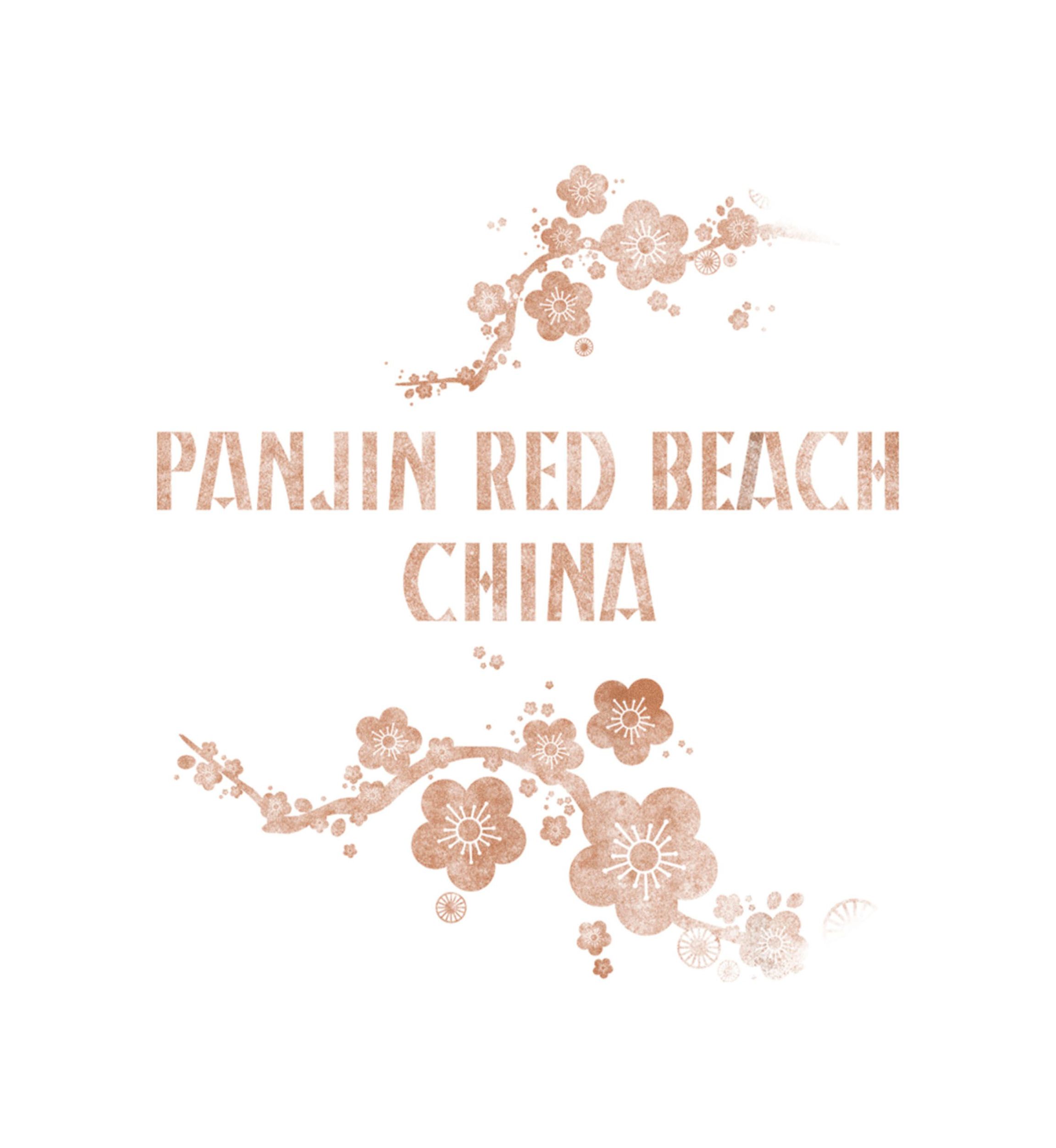 Panjin China Graphic Top