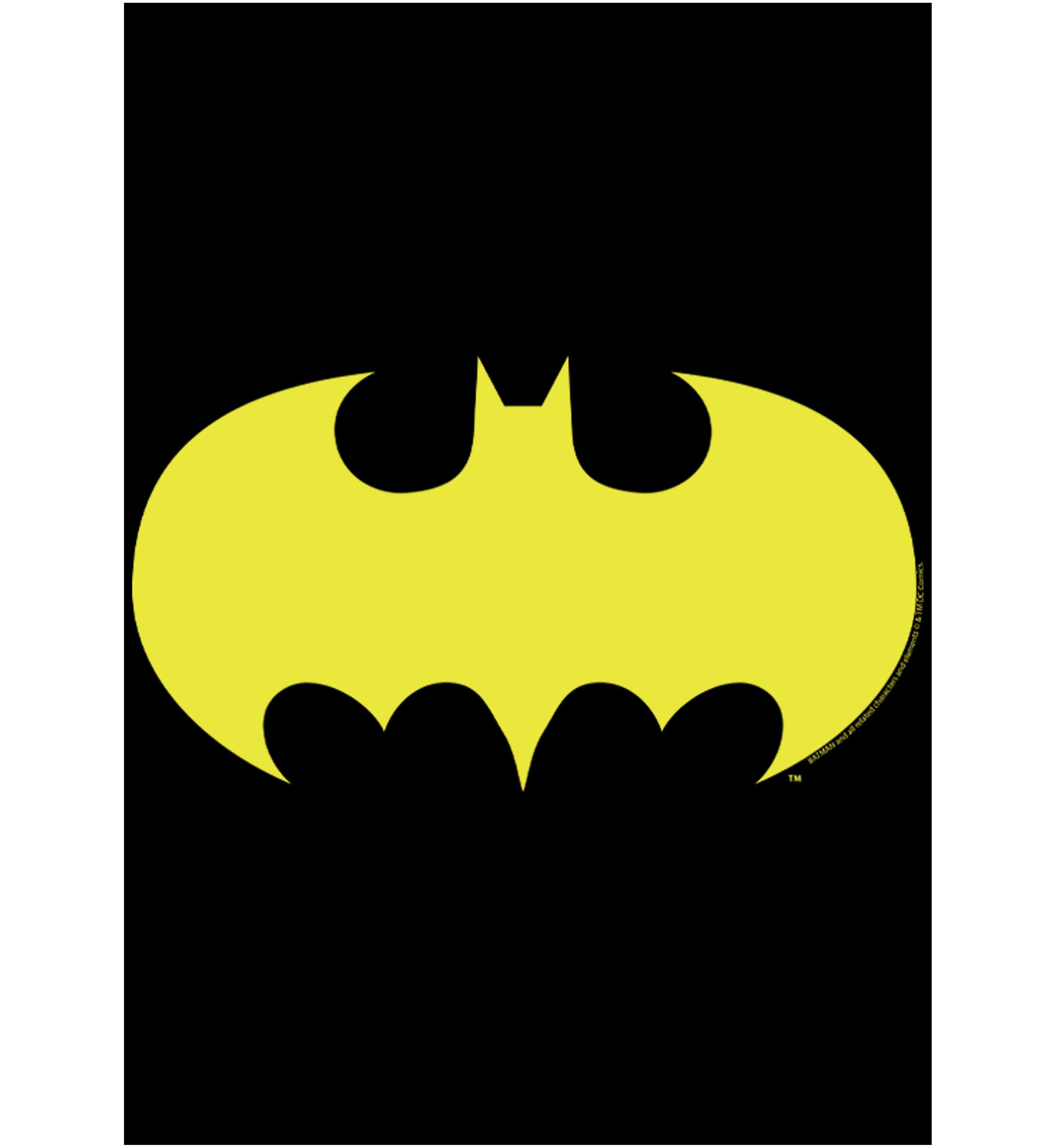 Boys 4-7 Bat Logo Ten Graphic T-Shirt