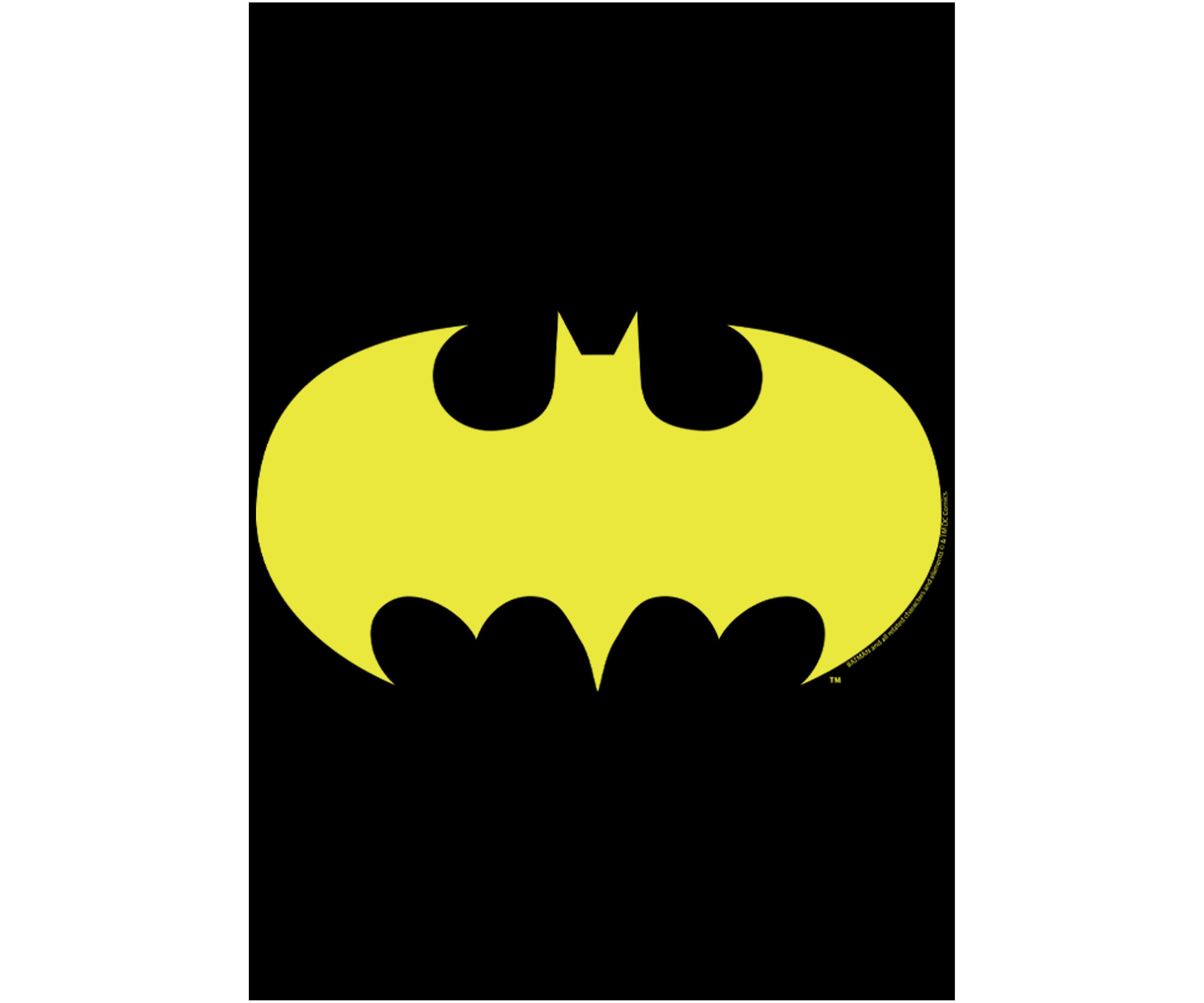 Boys 4-7 Bat Logo Ten Graphic T-Shirt