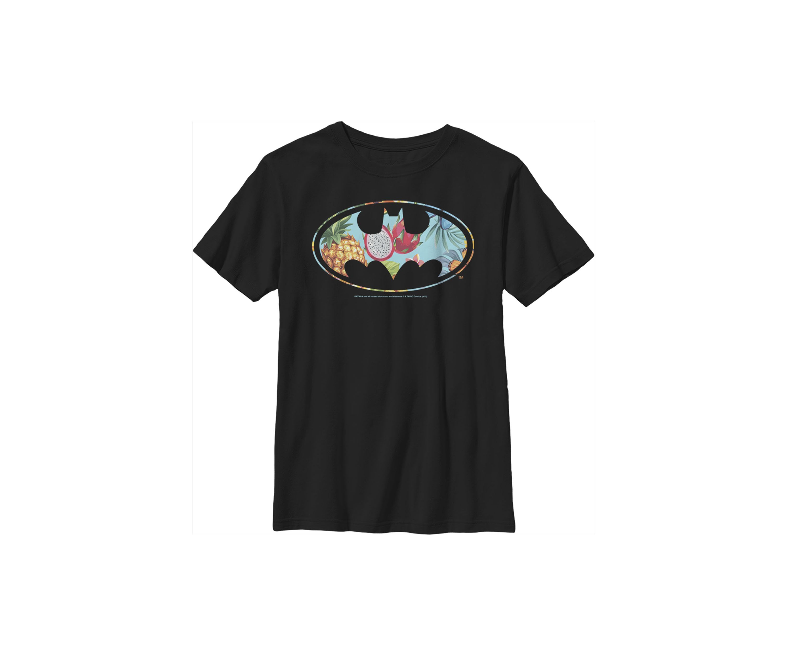 Boys 4-7 Tropical Graphic T-Shirt