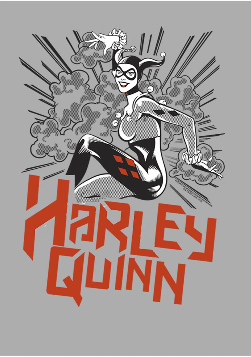 Boys 4-7 Harley Quinn Tone Graphic T-Shirt