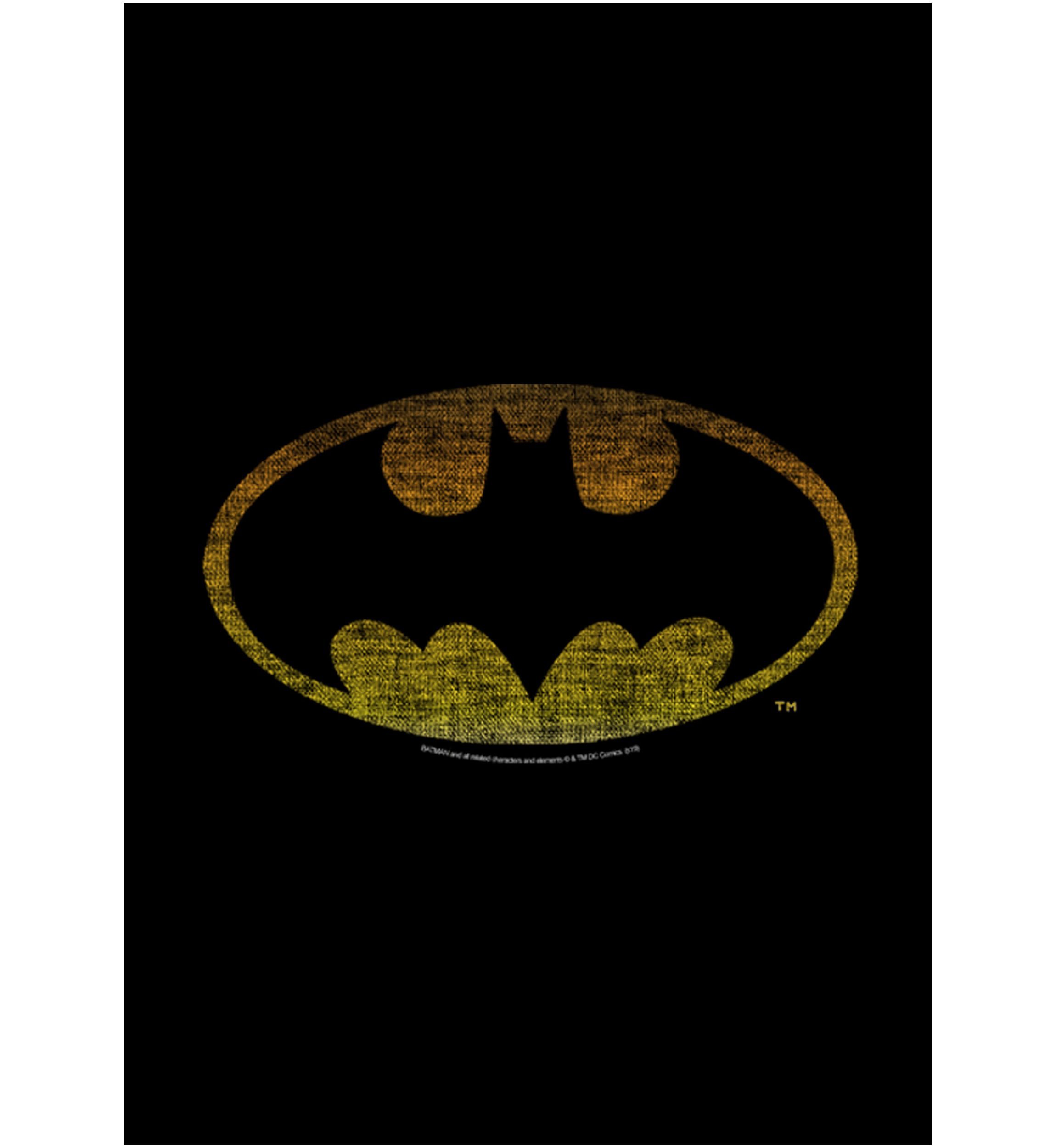 Boys 4-7 Color Bat Chest Graphic T-Shirt
