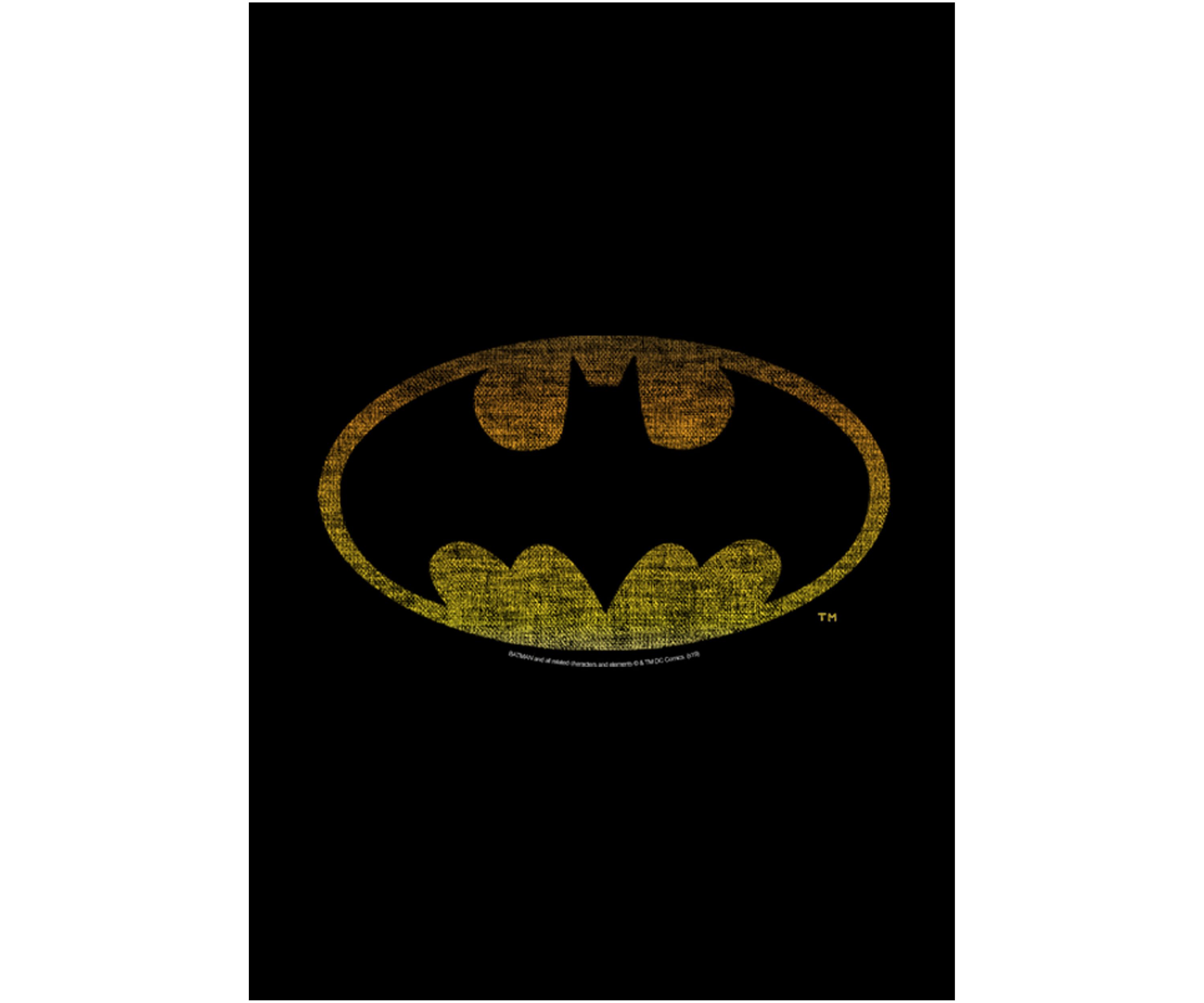 Boys 4-7 Color Bat Chest Graphic T-Shirt
