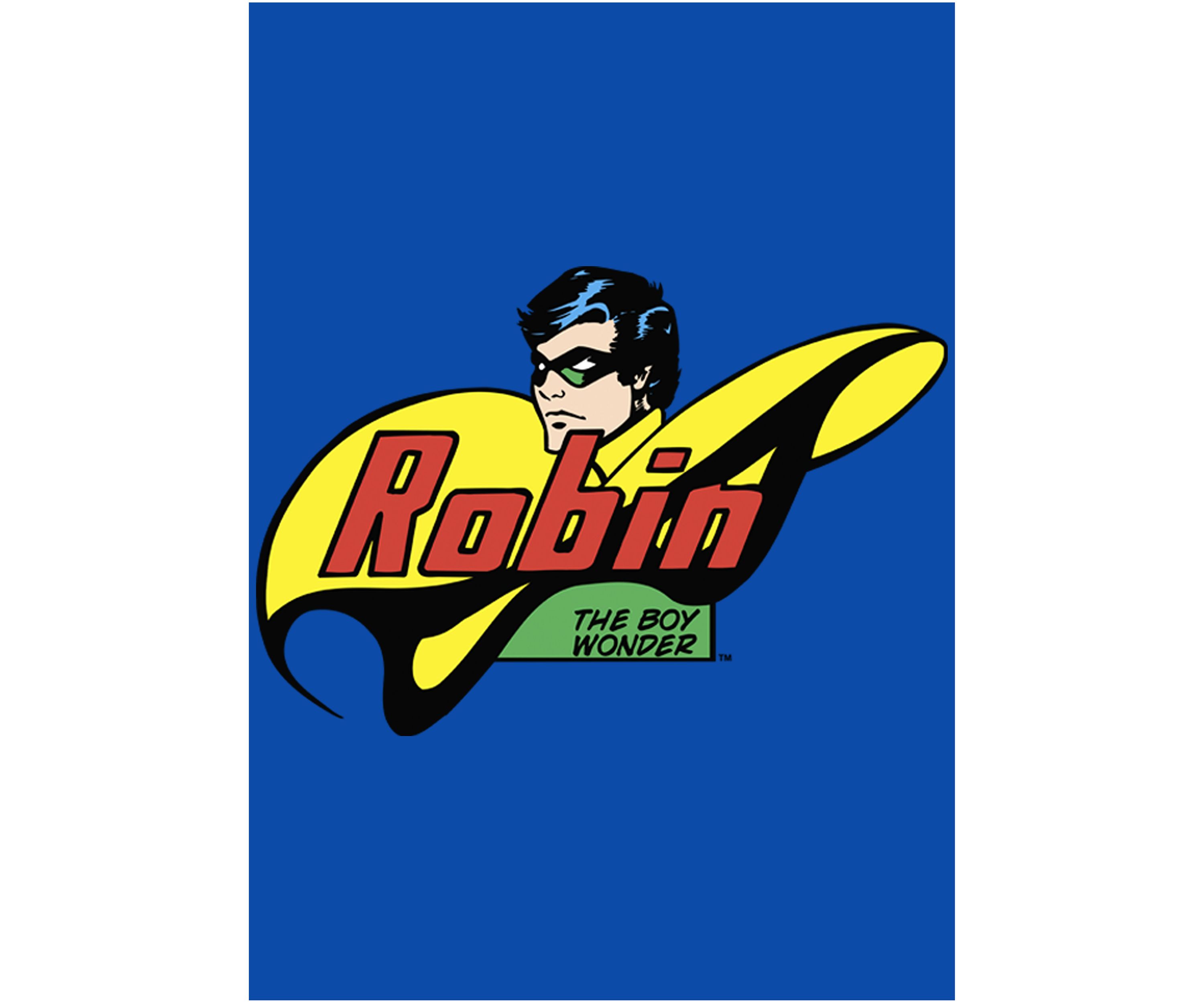 Boys 4-7 Robin Face Logo Graphic T-Shirt