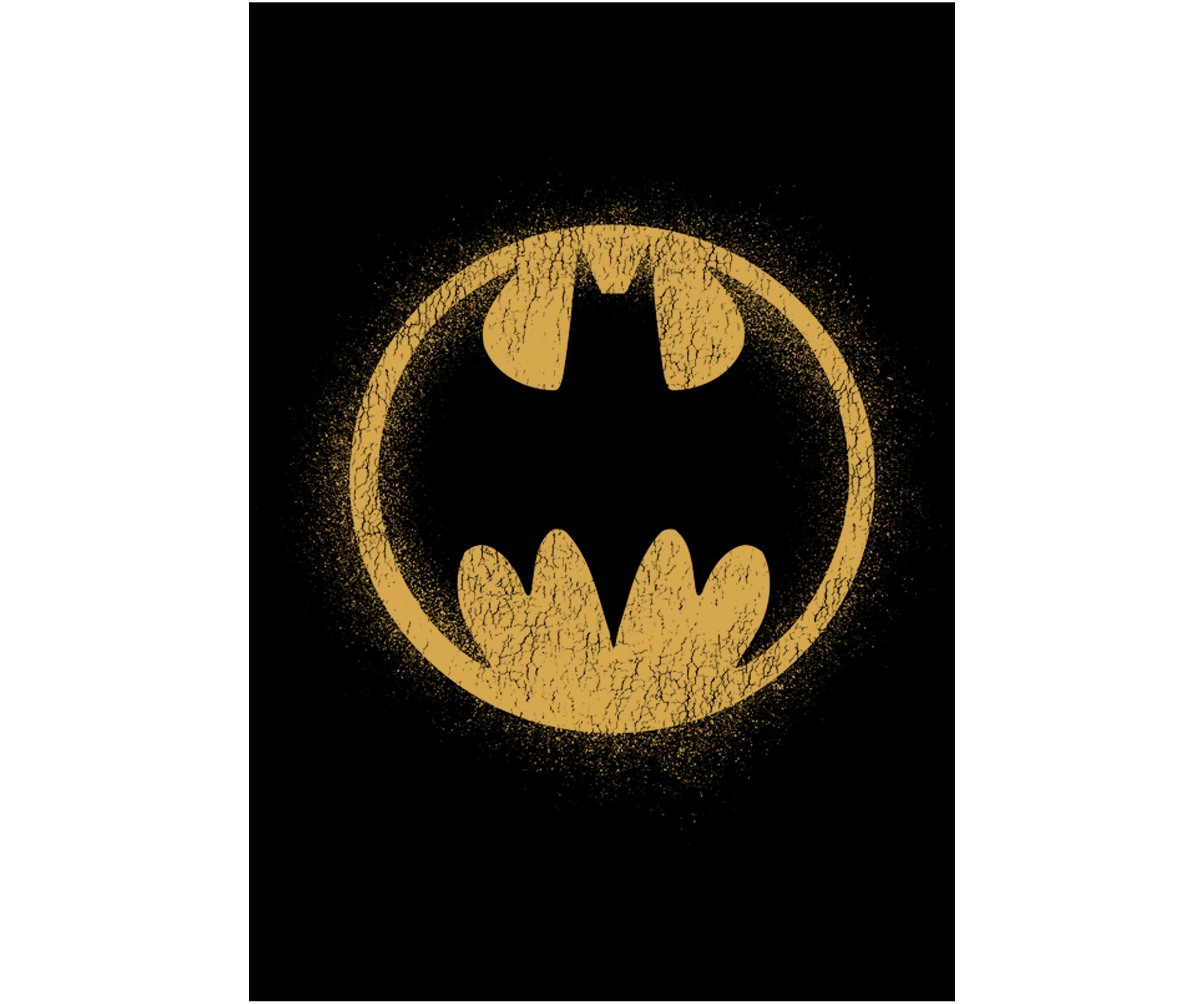 Boys 4-7 Bat Signal Graphic T-Shirt