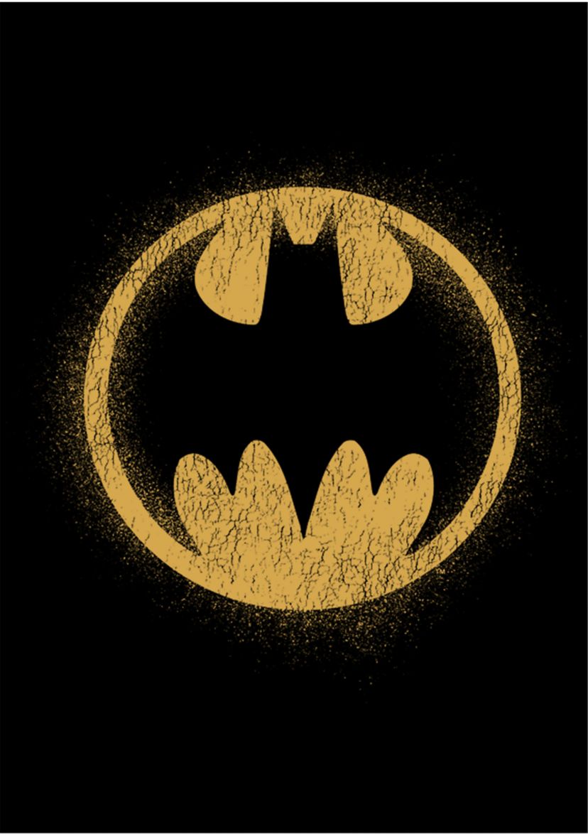 Boys 4-7 Bat Signal Graphic T-Shirt