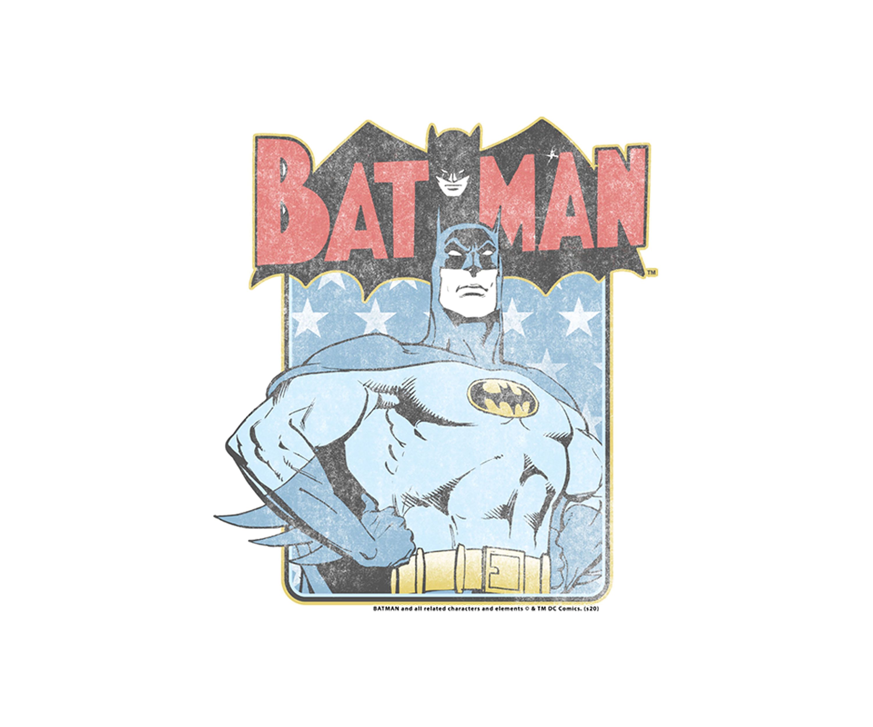 Bat Usa Graphic T-Shirt