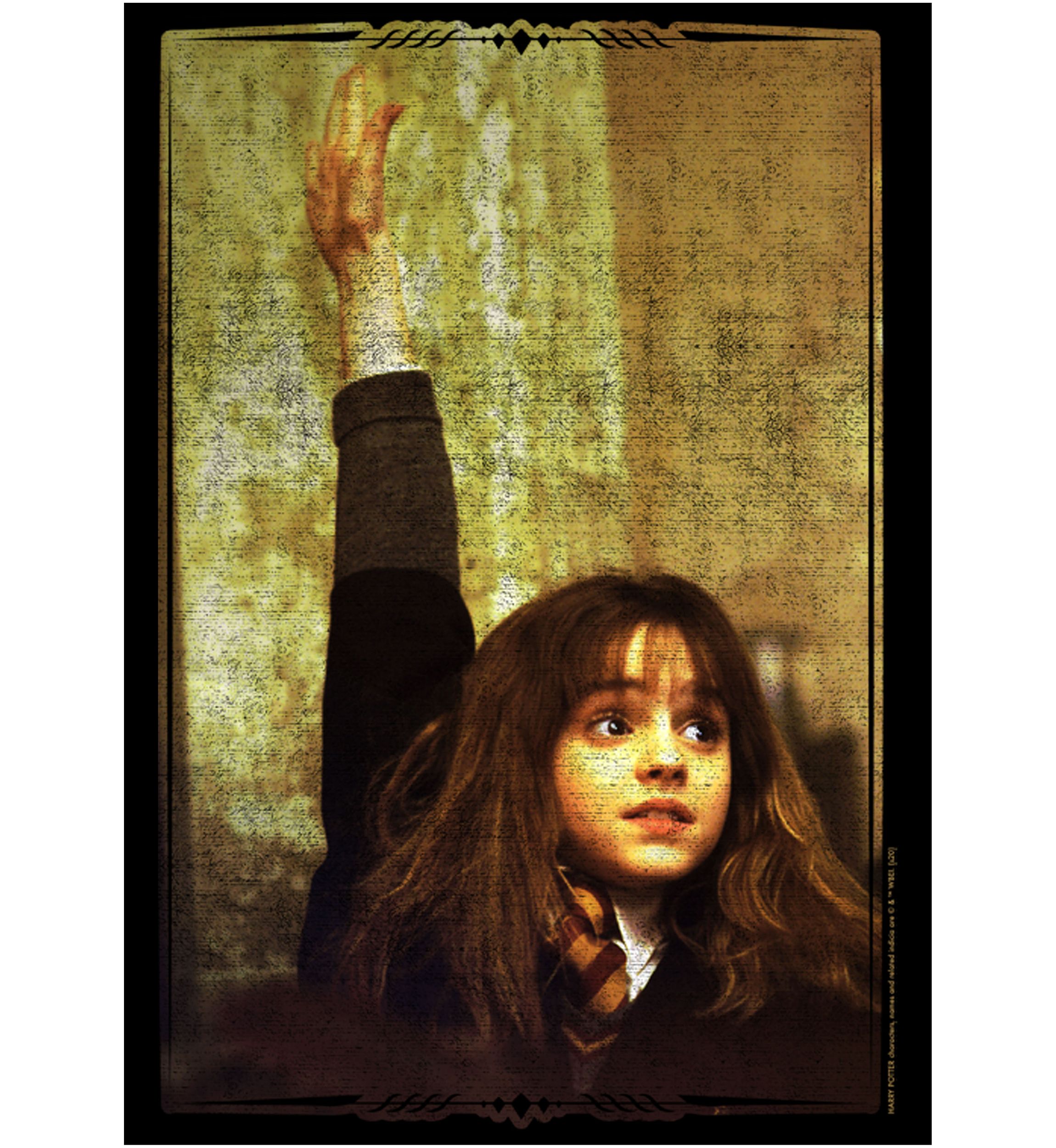 Boys 4-7  Hermoine Hand Raise Graphic T-Shirt