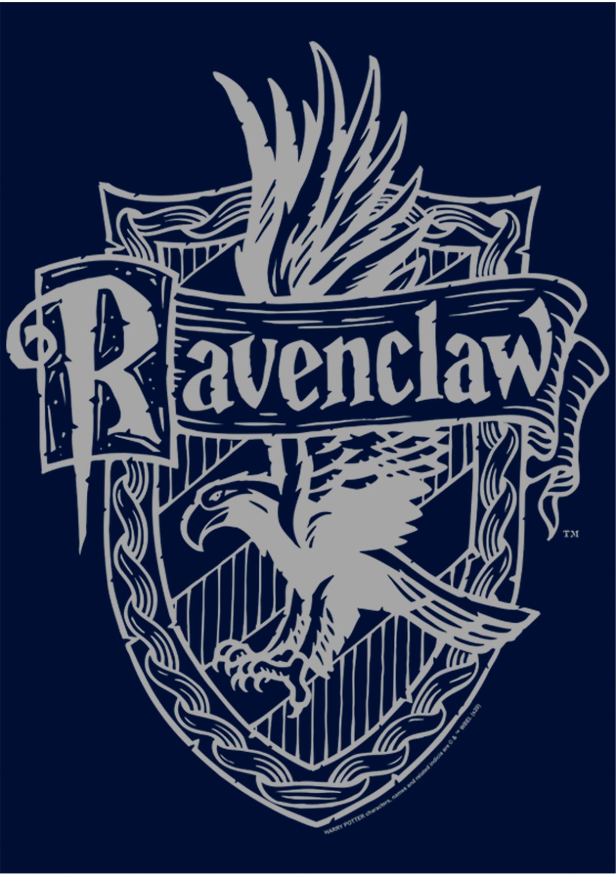 Harry Potter™ Boys 4-7 Ravenclaw Crest Graphic T-Shirt | Belk