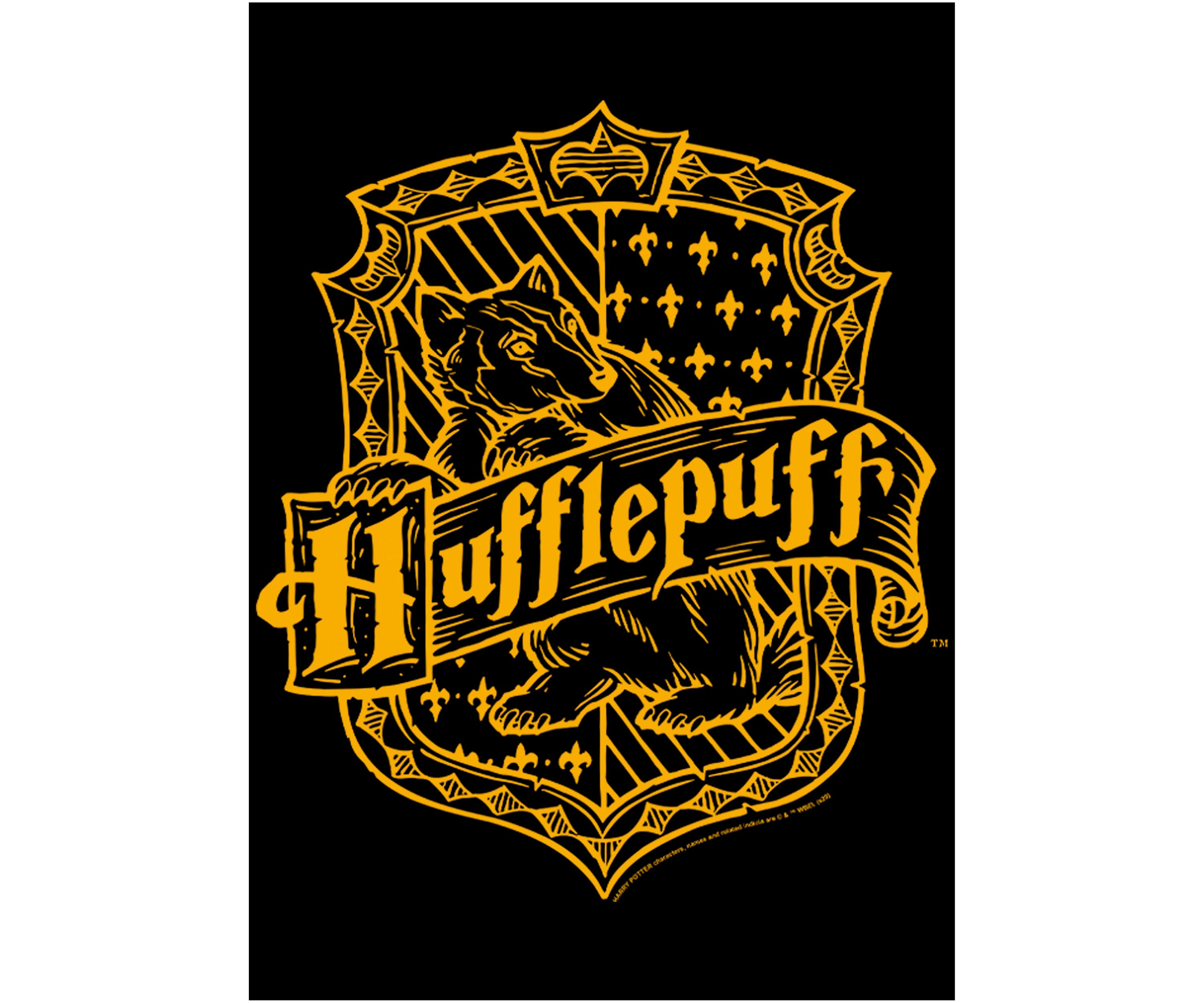 Boys 4-7  Hufflepuff Crest Graphic T-Shirt