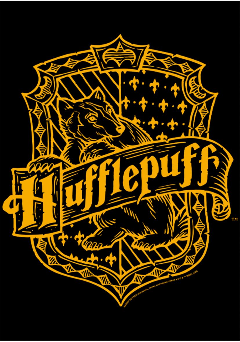 Boys 4-7  Hufflepuff Crest Graphic T-Shirt