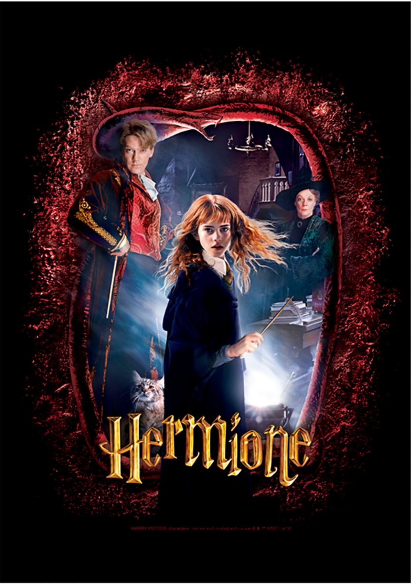 Boys 4-7  Chamber Hermione Banner Graphic T-Shirt