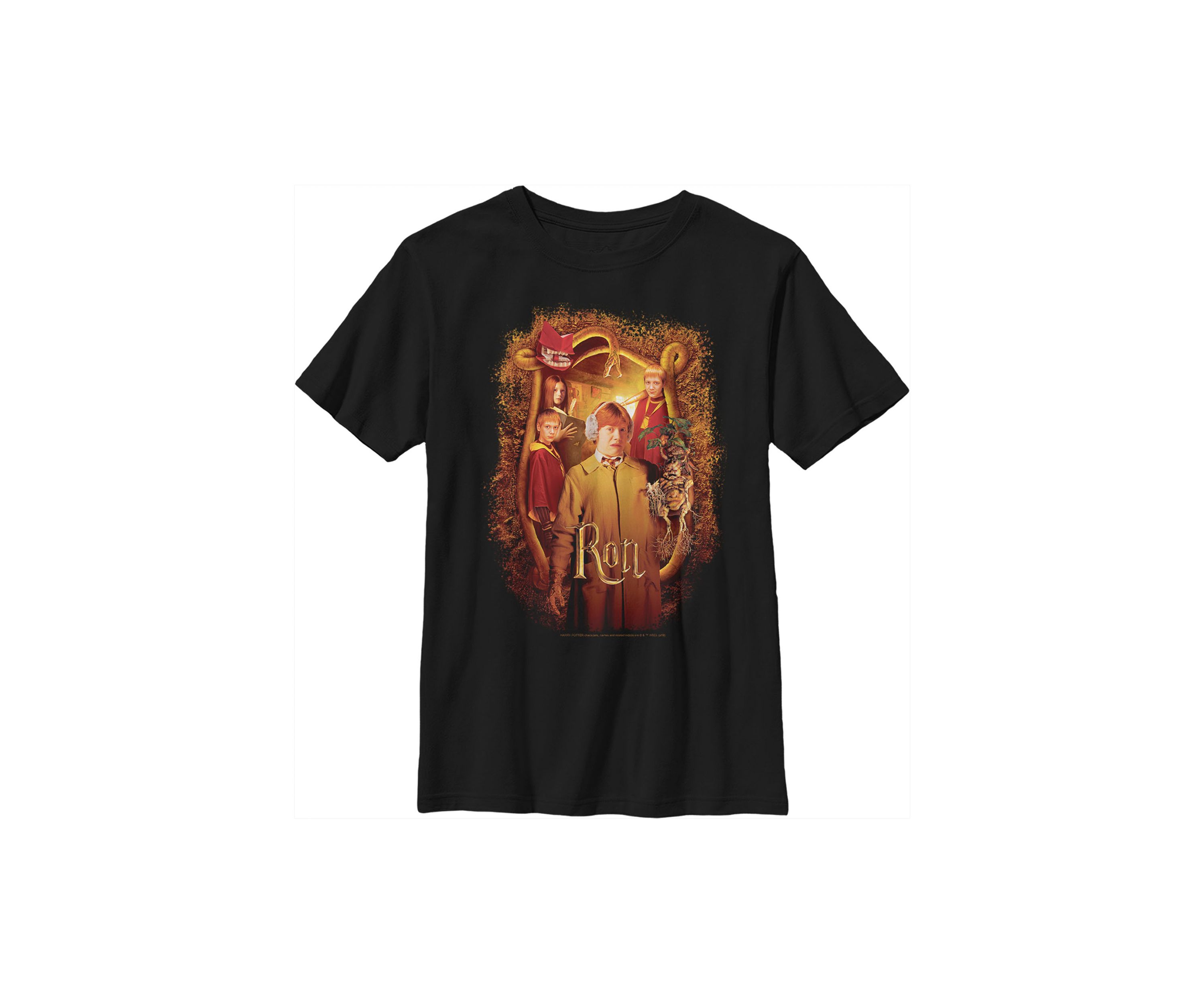 Boys 4-7  Chamber Ron Banner Graphic T-Shirt