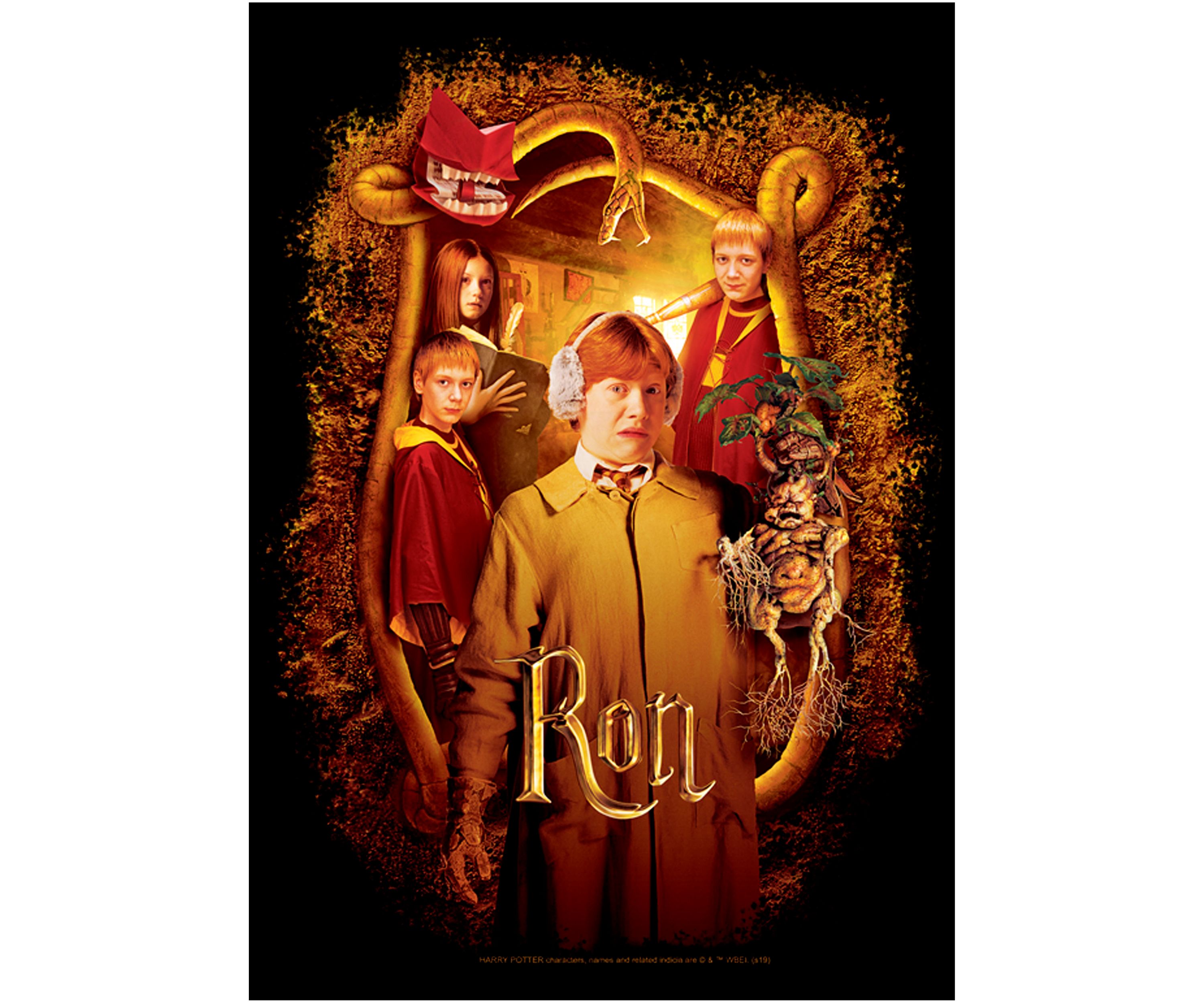 Boys 4-7  Chamber Ron Banner Graphic T-Shirt
