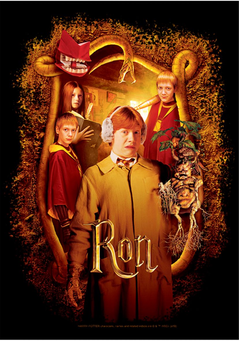 Boys 4-7  Chamber Ron Banner Graphic T-Shirt