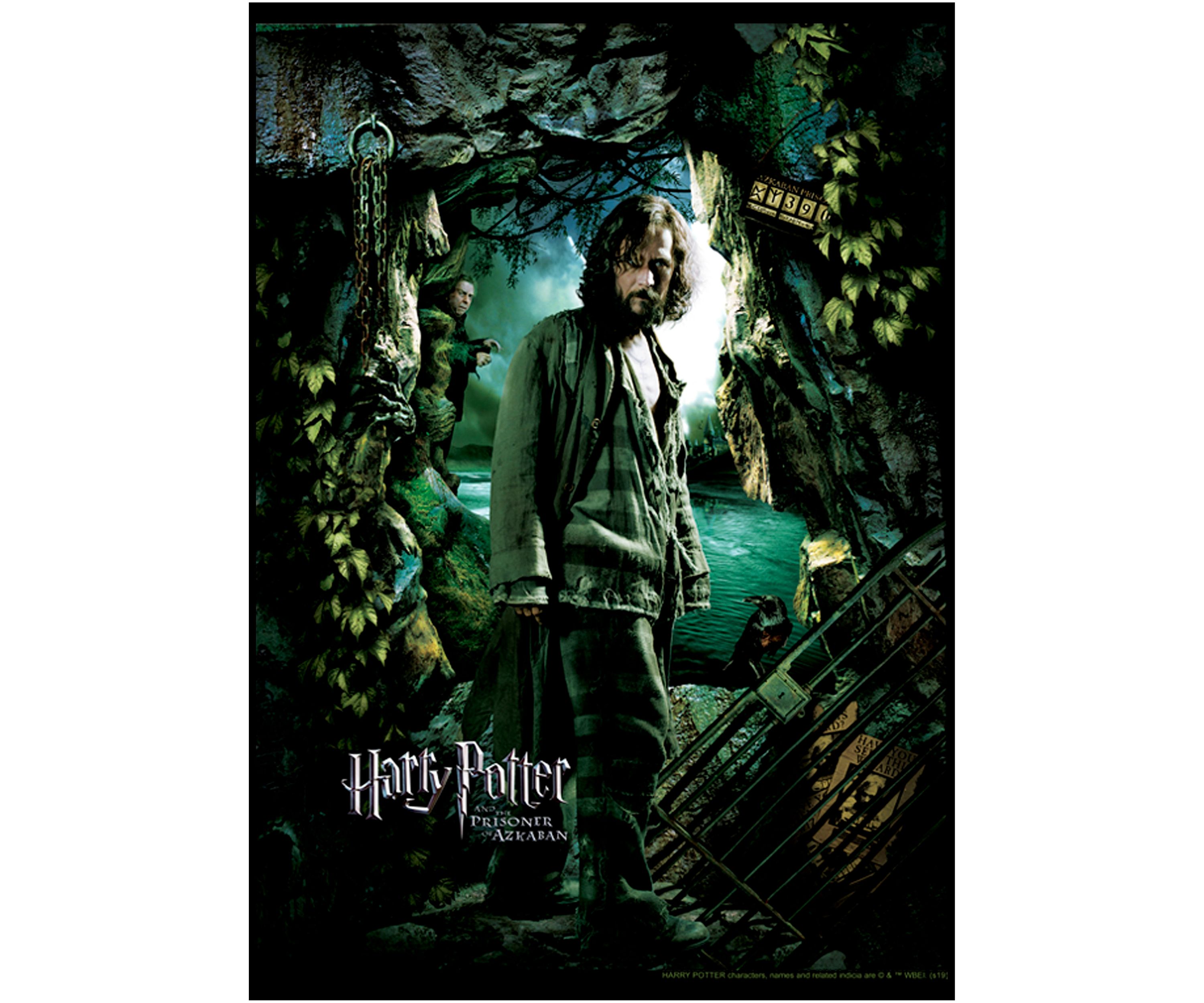 Boys 4-7  Sirius Azkaban Poster Graphic T-Shirt