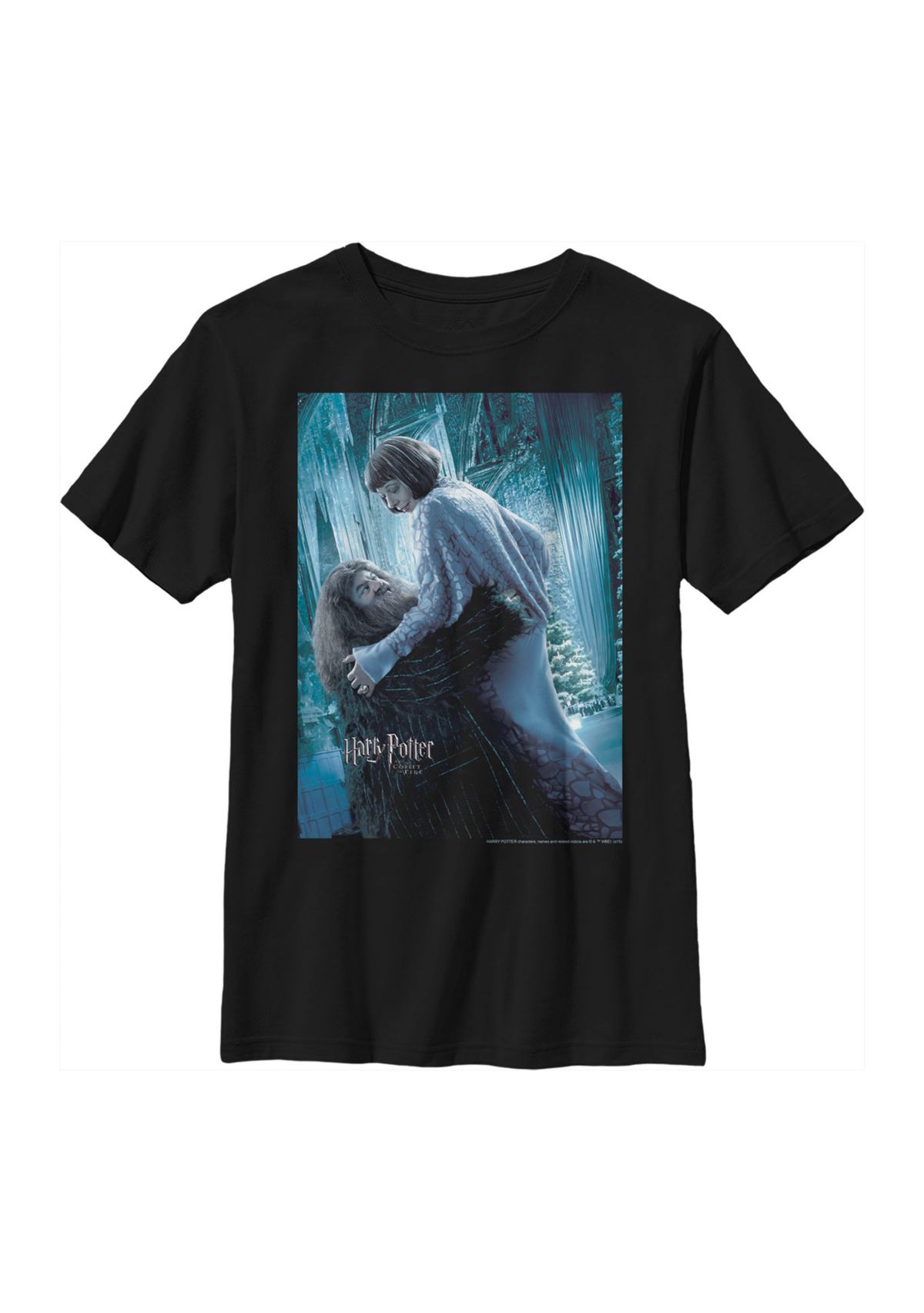 Boys 4-7  Hagrid & Madame Maxime Poster Graphic T-Shirt