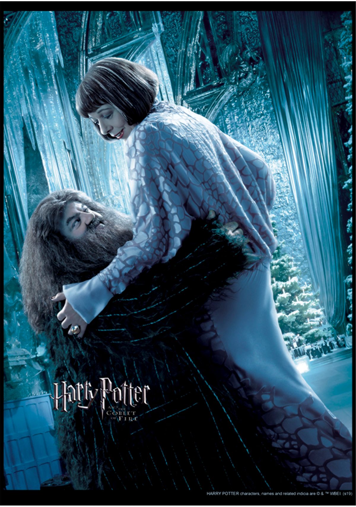 Boys 4-7  Hagrid & Madame Maxime Poster Graphic T-Shirt