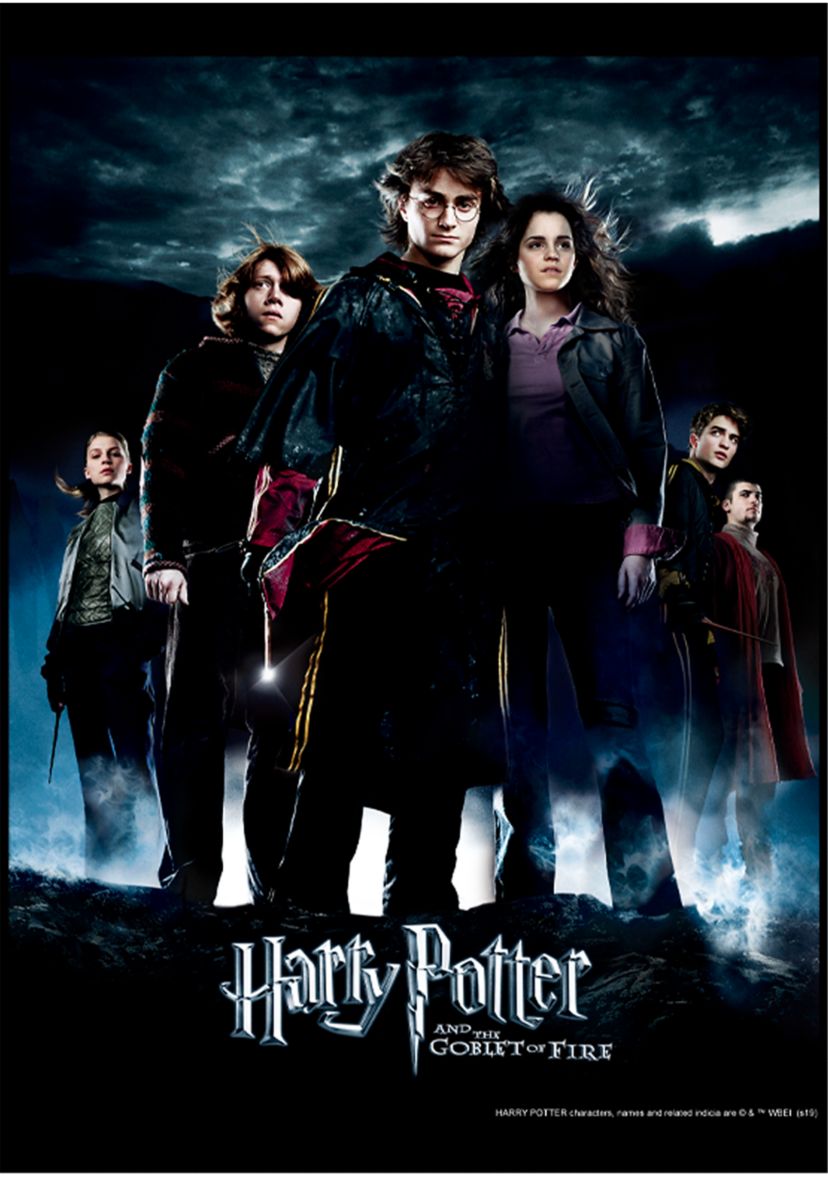 Boys 4-7  Potter Goblet Group Poster Graphic T-Shirt