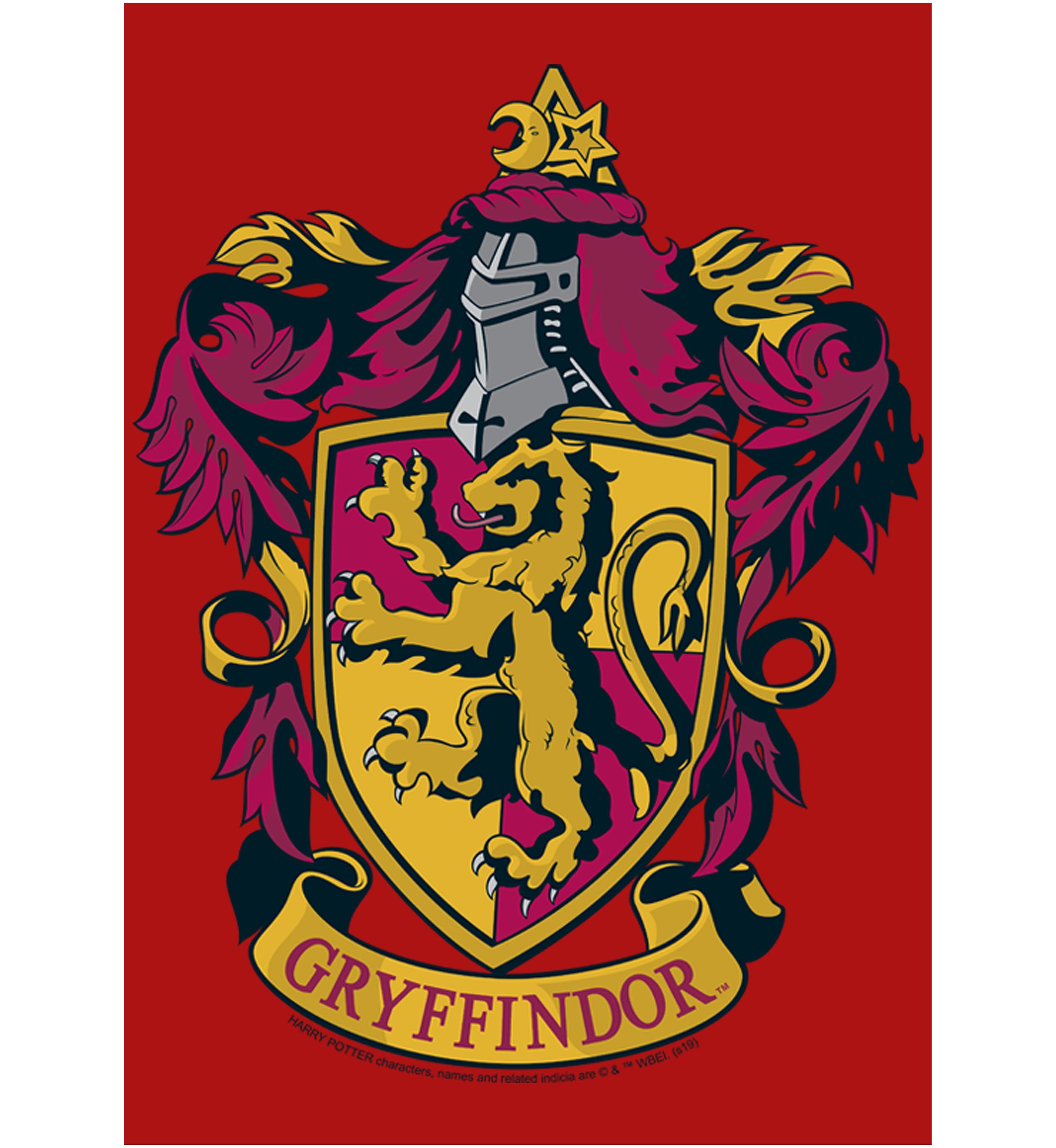 Boys 4-7  Gryffindor House Crest Graphic T-Shirt