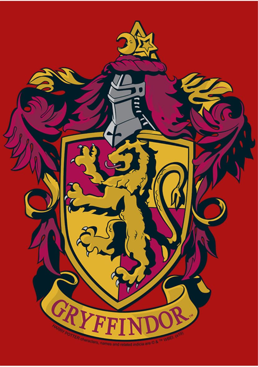 Boys 4-7  Gryffindor House Crest Graphic T-Shirt