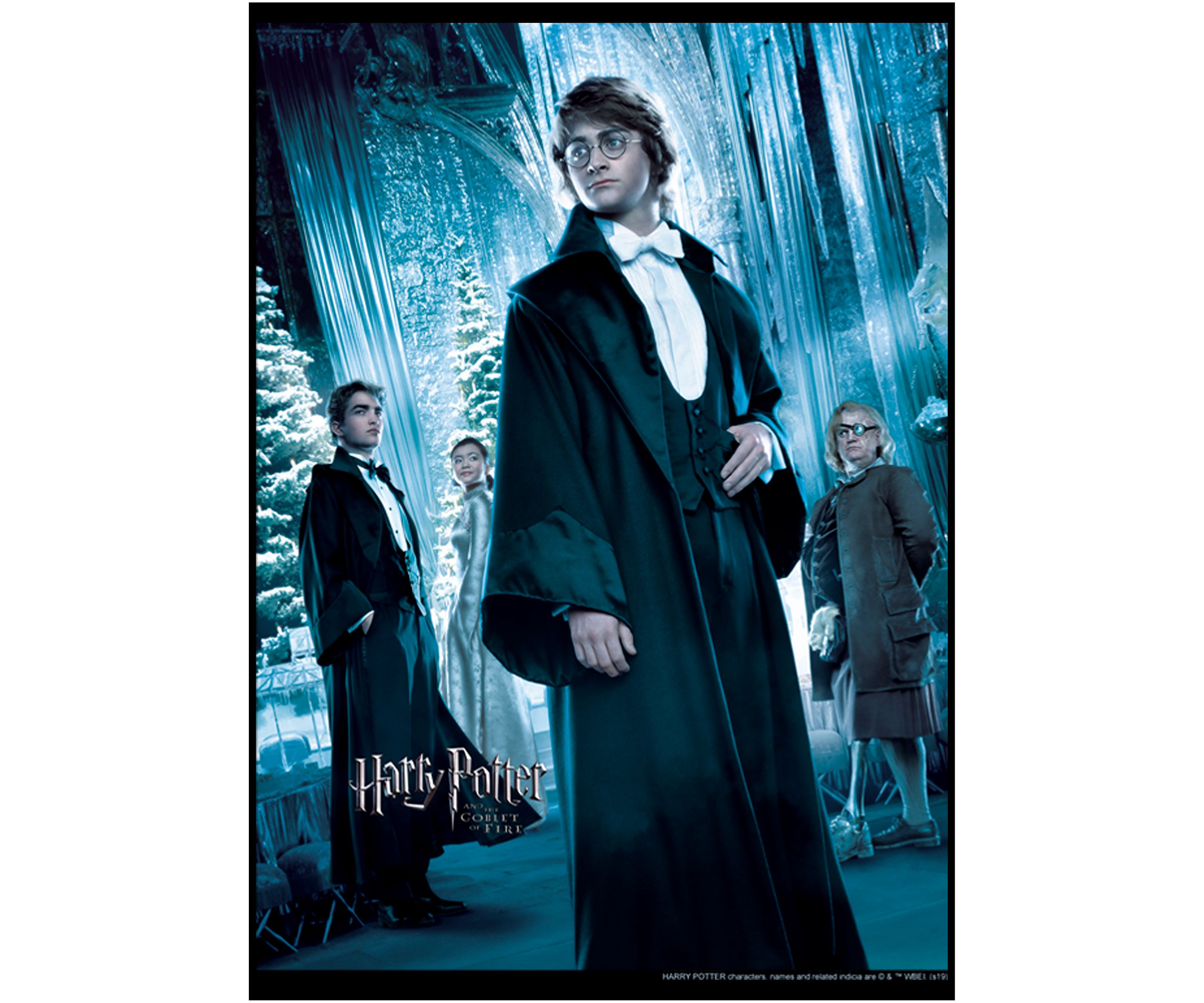 Boys 4-7  Harry Yule Ball Graphic T-Shirt