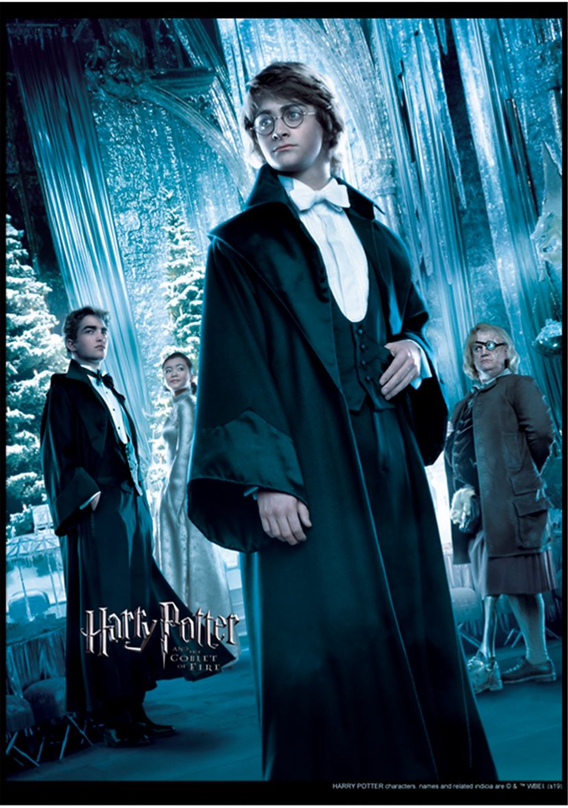 Boys 4-7  Harry Yule Ball Graphic T-Shirt