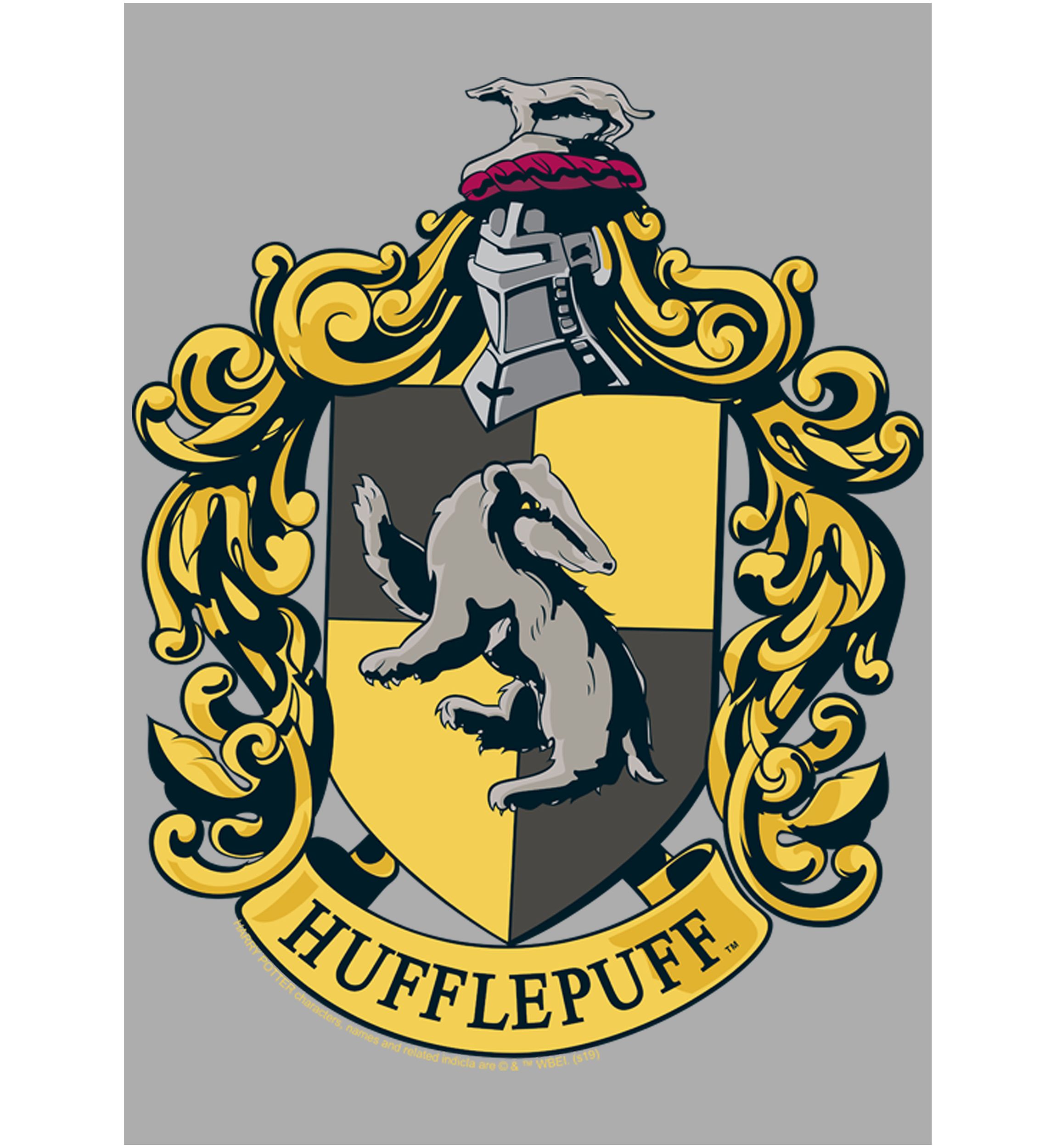 Boys 4-7  Hufflepuff House Crest Graphic T-Shirt