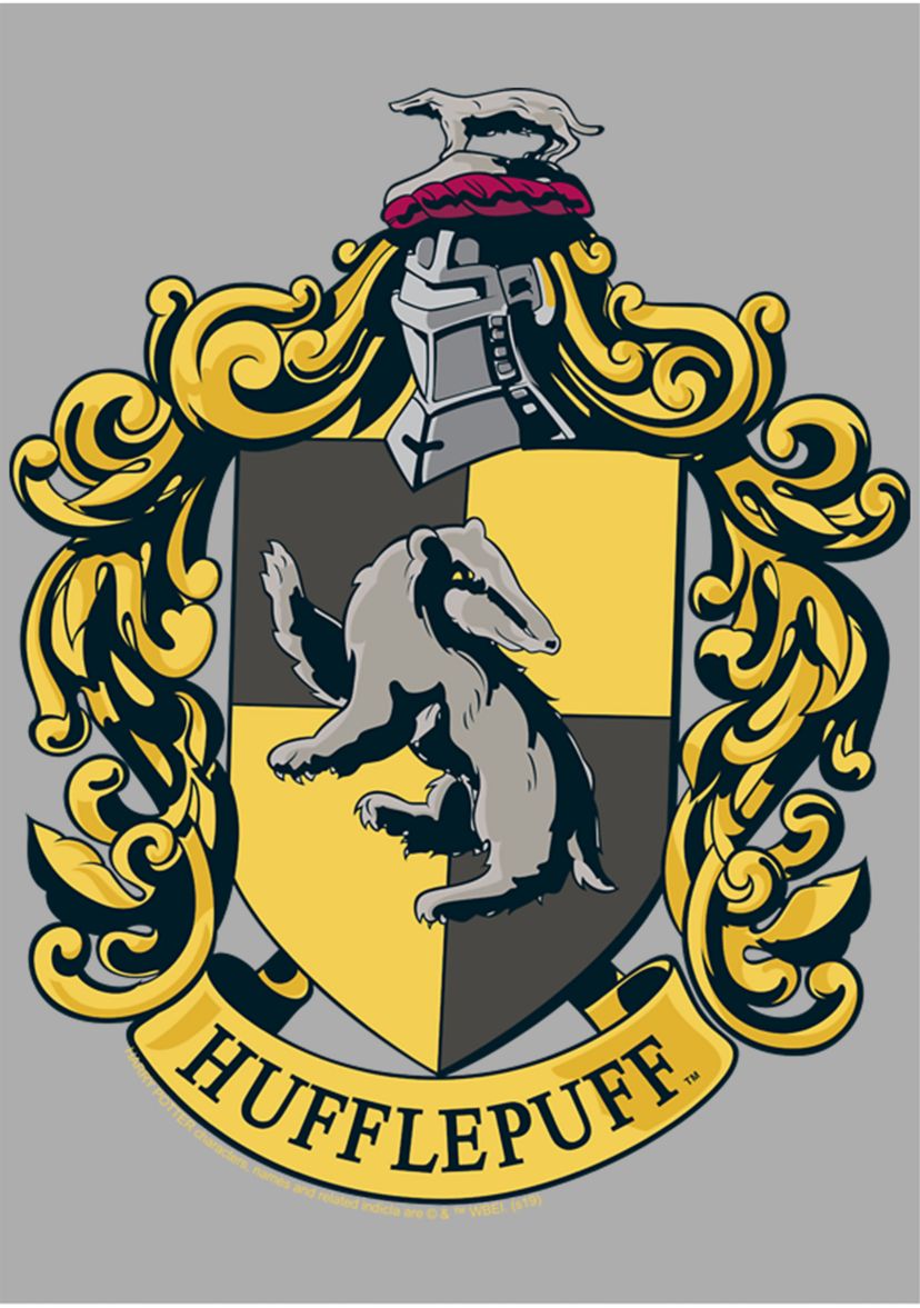 Boys 4-7  Hufflepuff House Crest Graphic T-Shirt