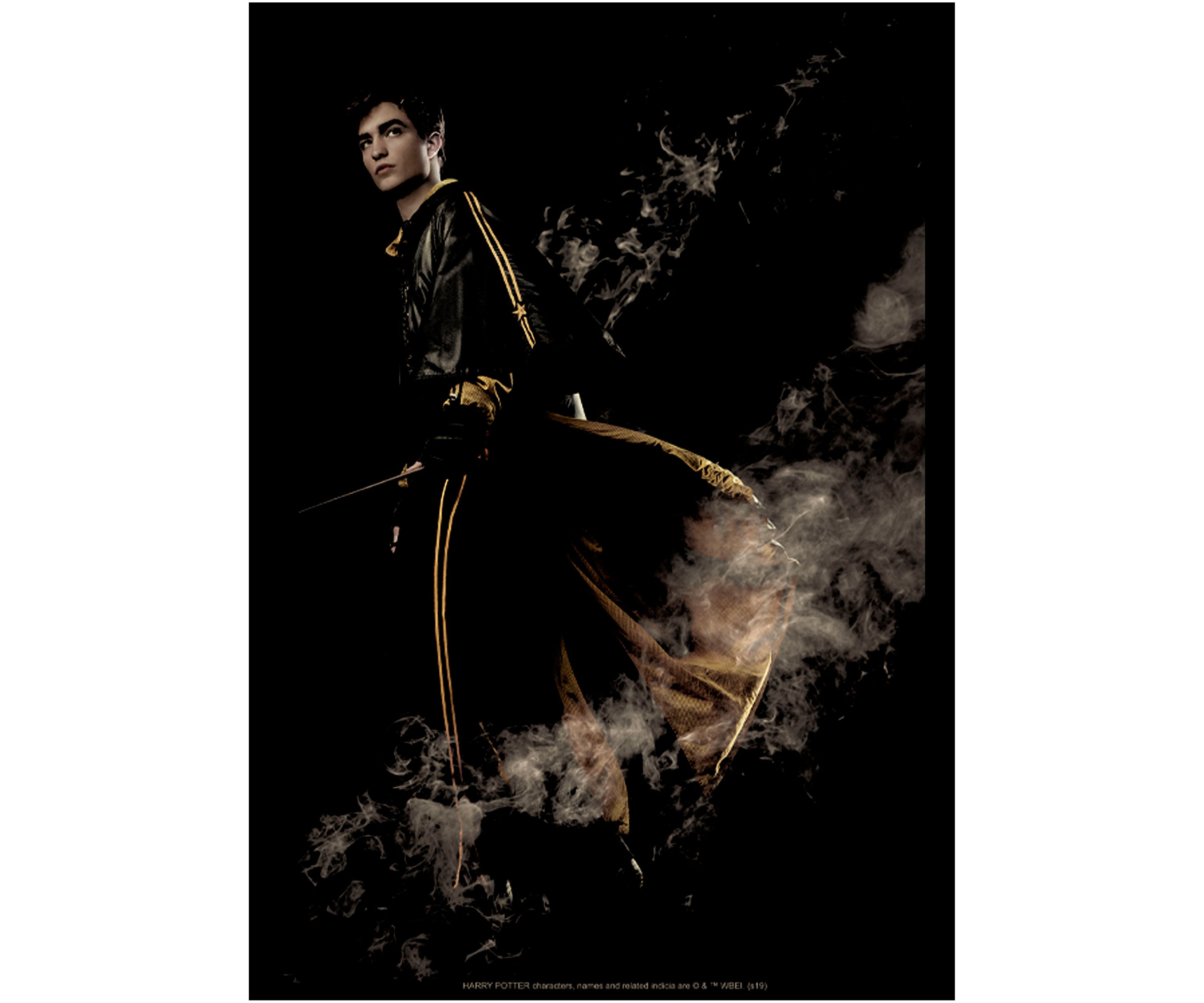 Boys 4-7  Cedric the Hufflepuff Graphic T-Shirt