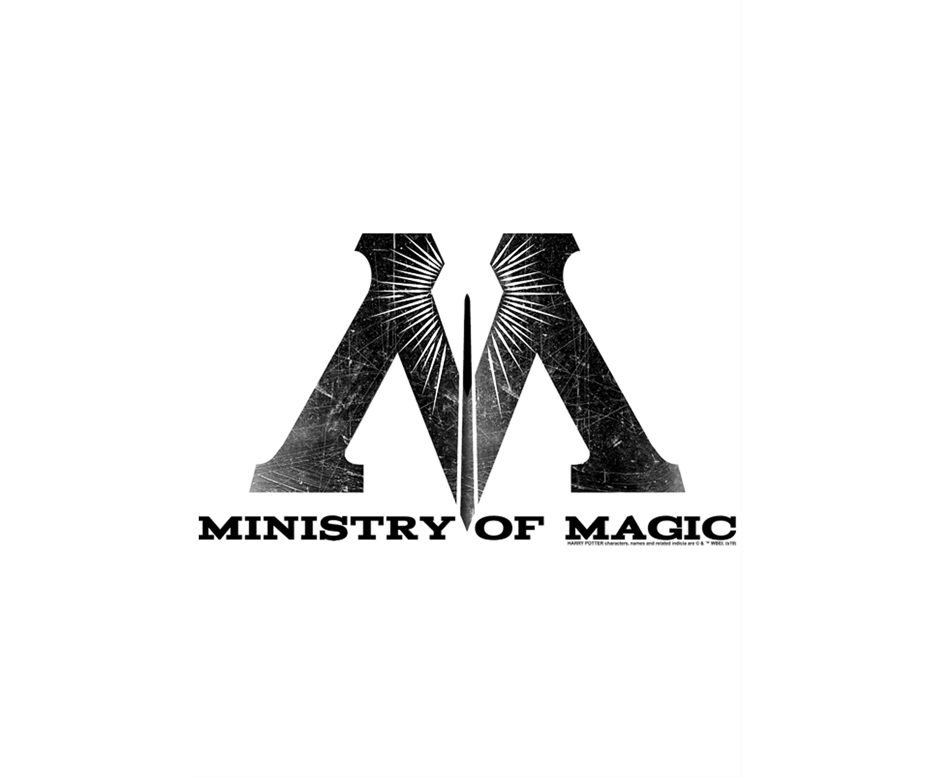 Boys 4-7  Ministry of Magic Logo Graphic T-Shirt