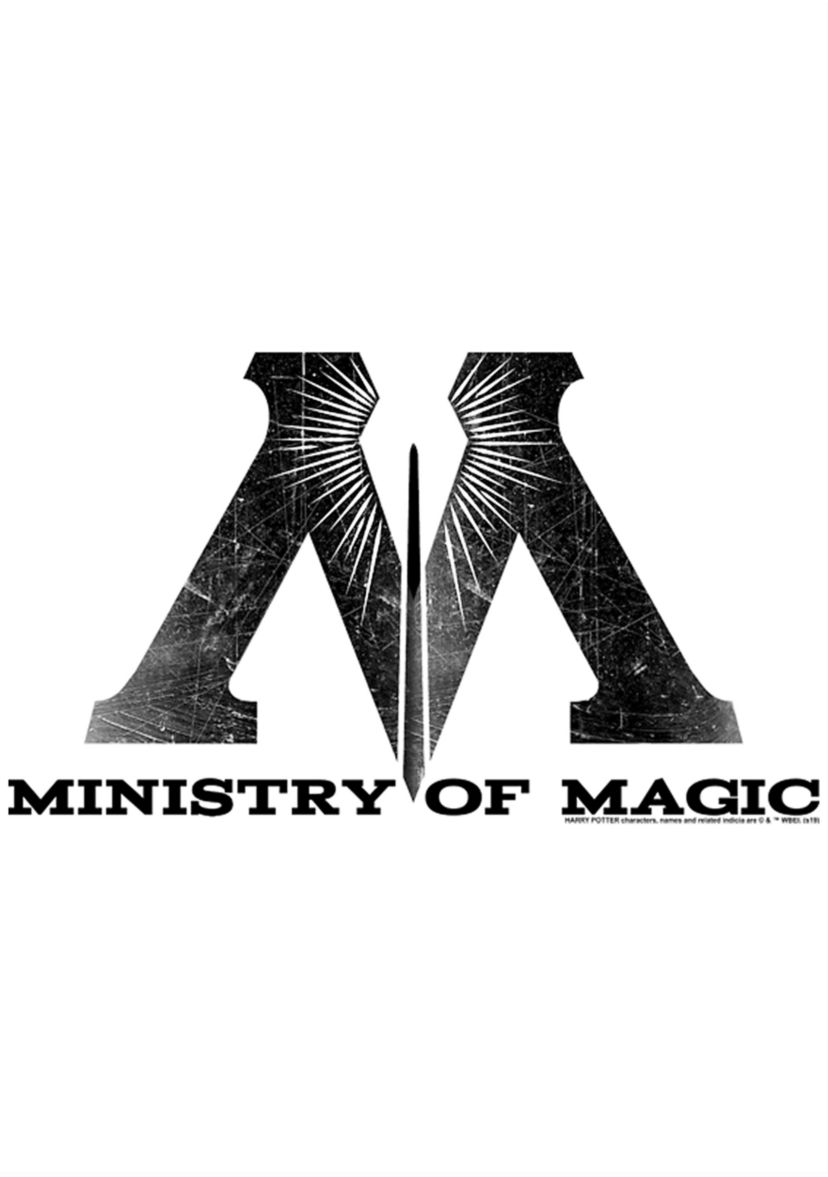 Boys 4-7  Ministry of Magic Logo Graphic T-Shirt